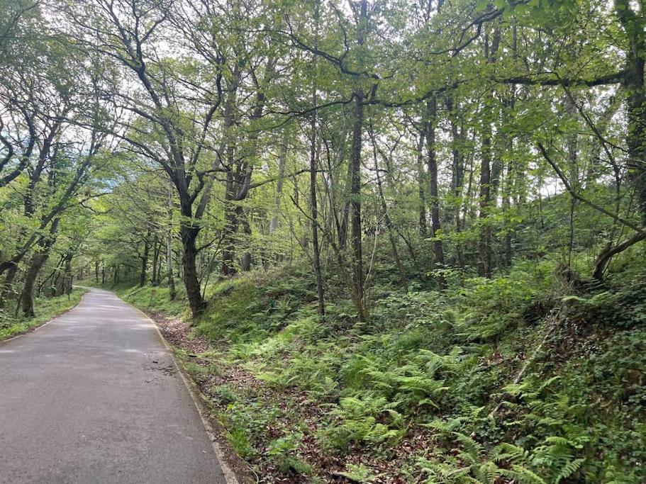 Сasa de vacaciones El Rincon Del Rosal 15b08