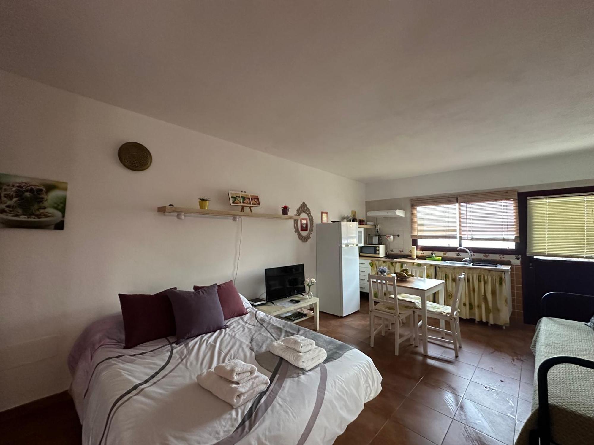 Apartamento Estudio Con Terraza