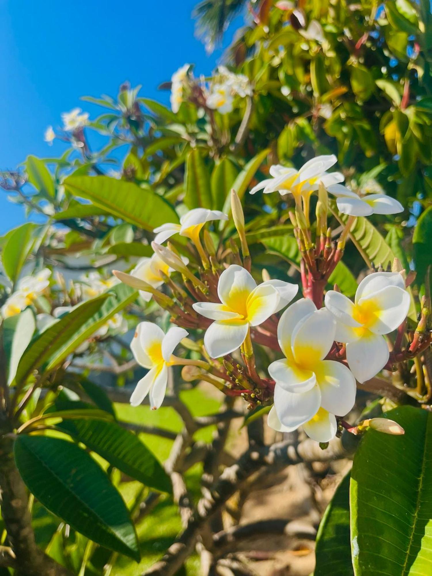 La Vina Vejer de la Frontera