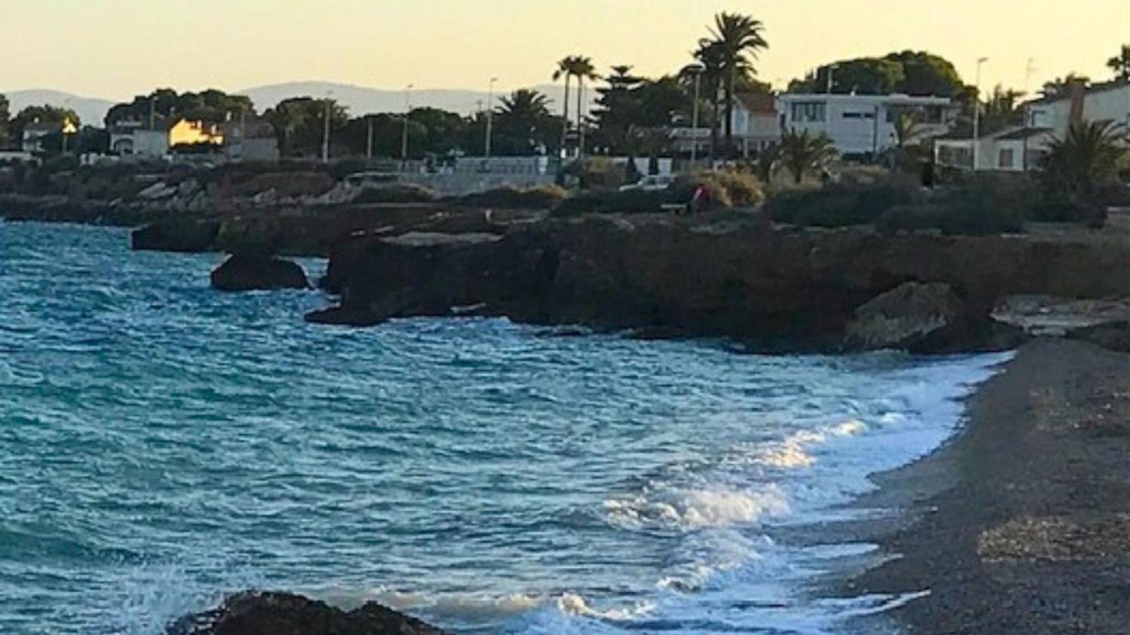 Tres Palmeras Vinarós