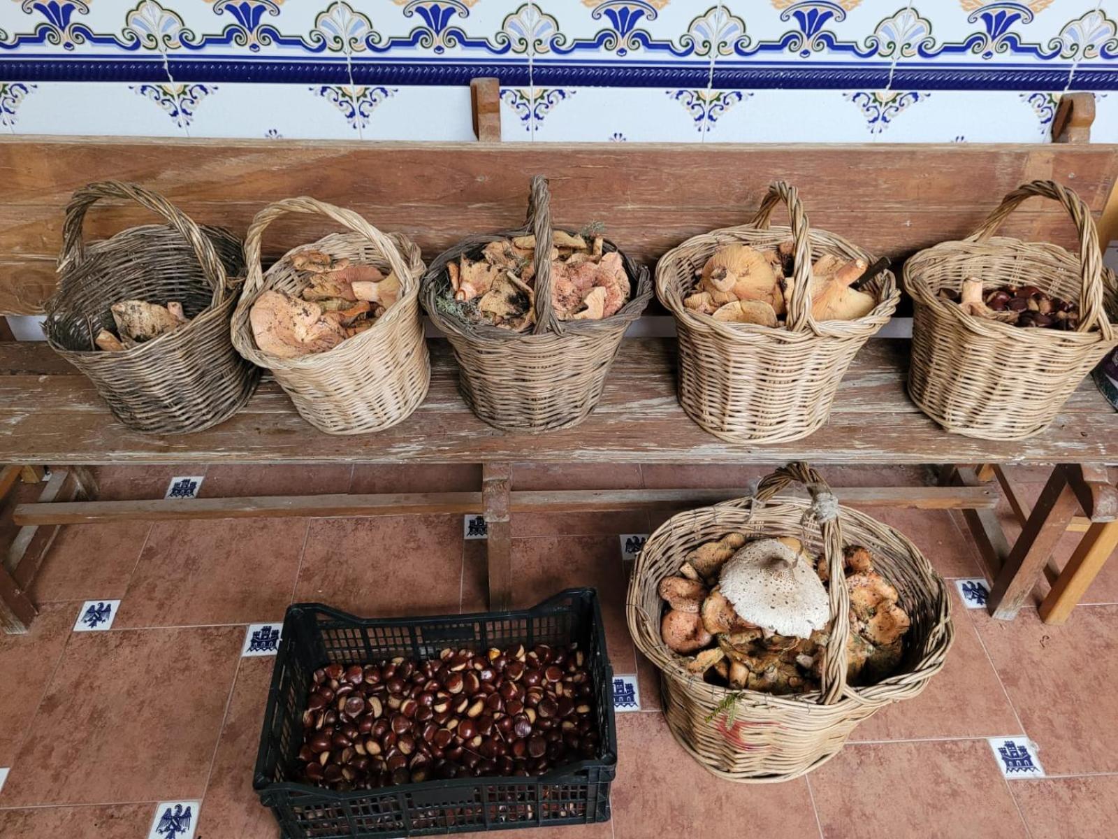 Casa Pozo Tarama *