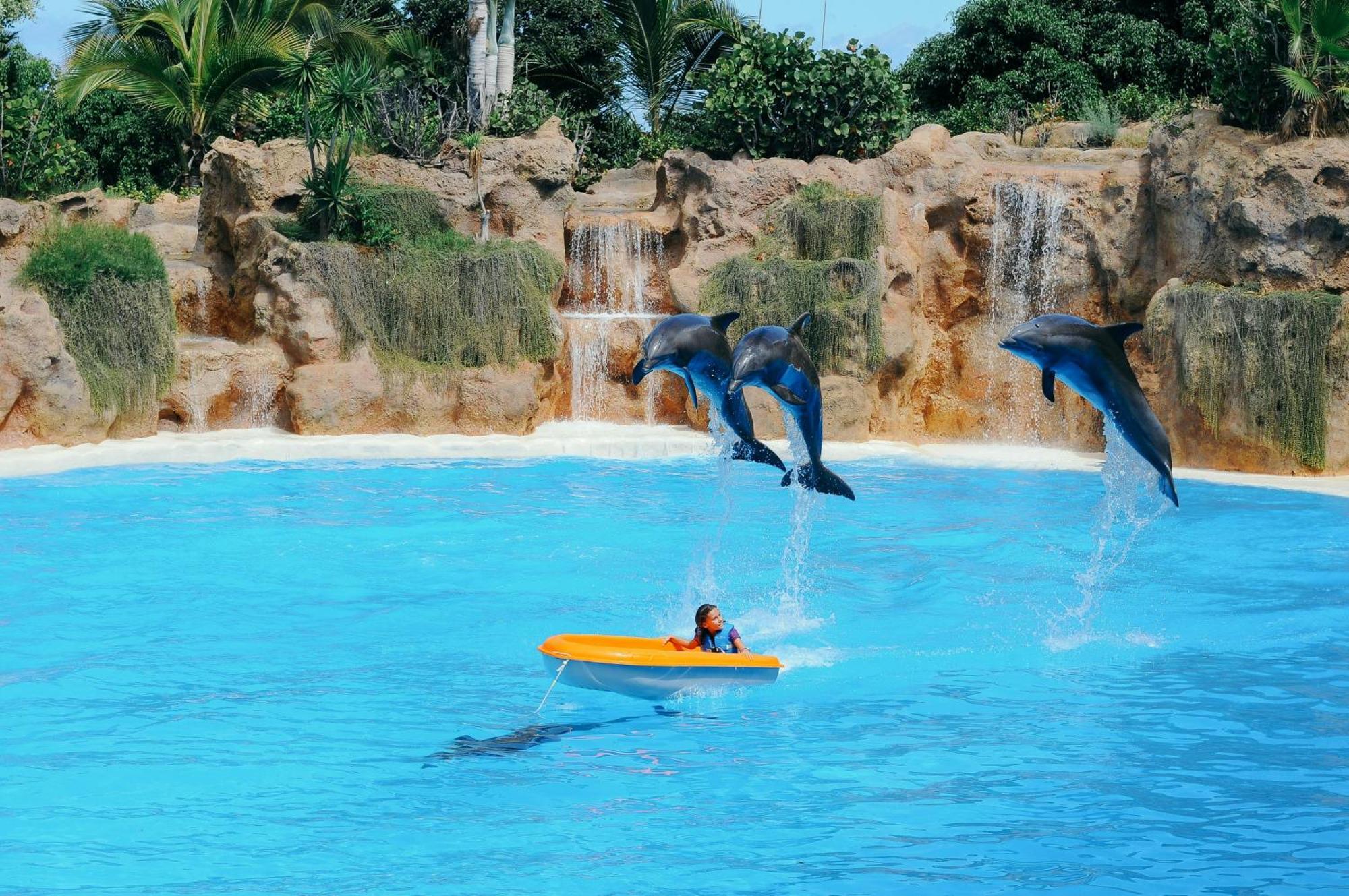 One & Only Sports And Relax Heated Pool By Eden *