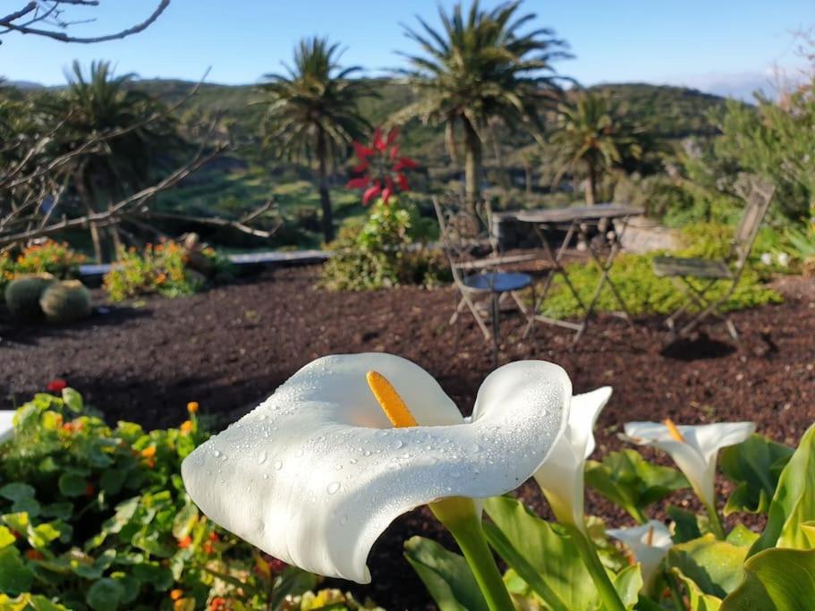 Casa Tara Ruhe Und Entspannung, Pur Сasa de vacaciones