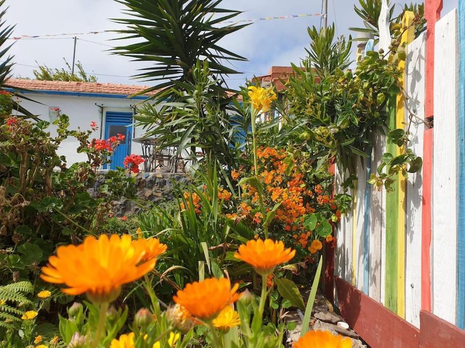 Сasa de vacaciones Casa Tara Ruhe Und Entspannung, Pur