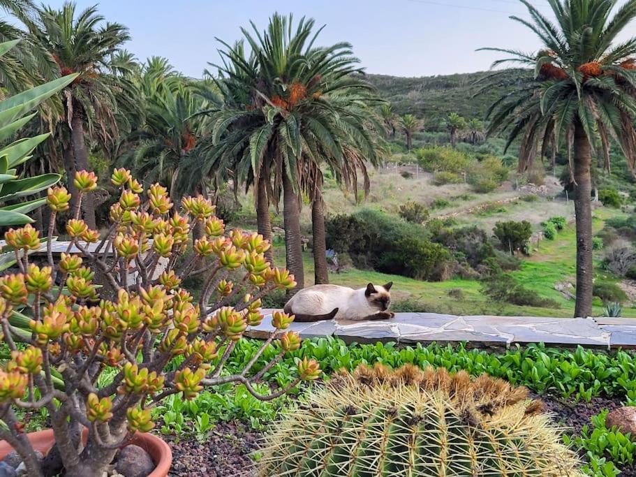 Casa Tara Ruhe Und Entspannung, Pur Сasa de vacaciones Acardece