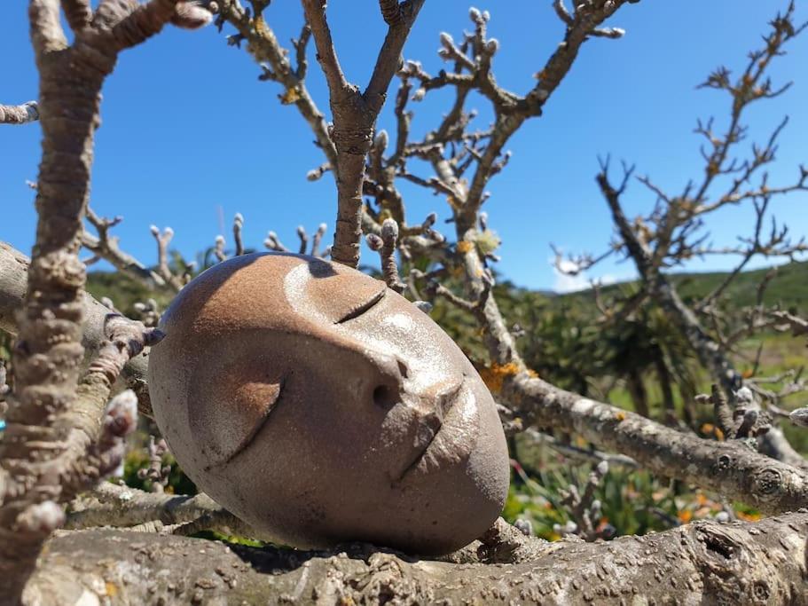 Сasa de vacaciones Casa Tara Ruhe Und Entspannung, Pur Acardece