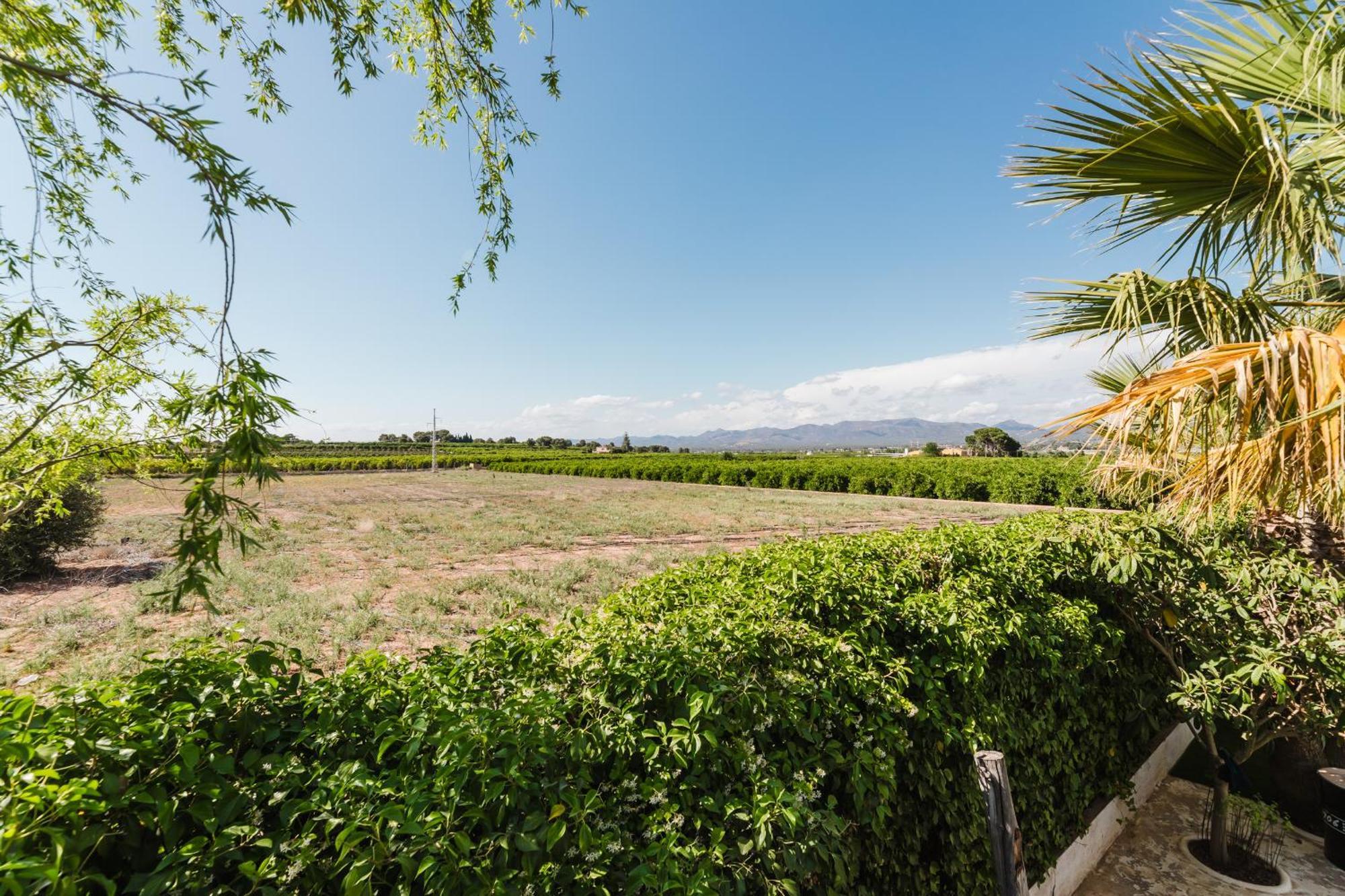 Villa Palm Garden Valencia *