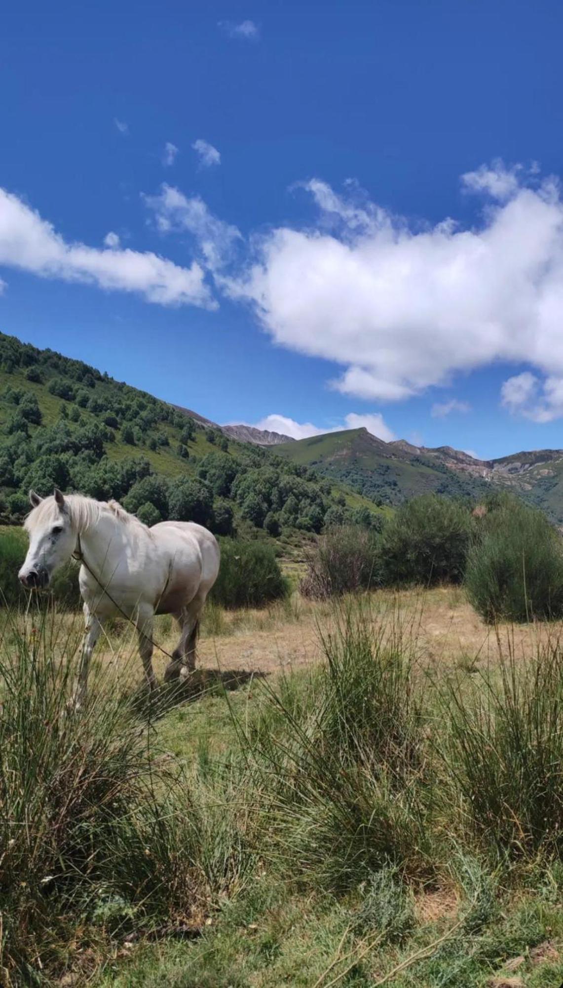 Holiday home Casa Begona