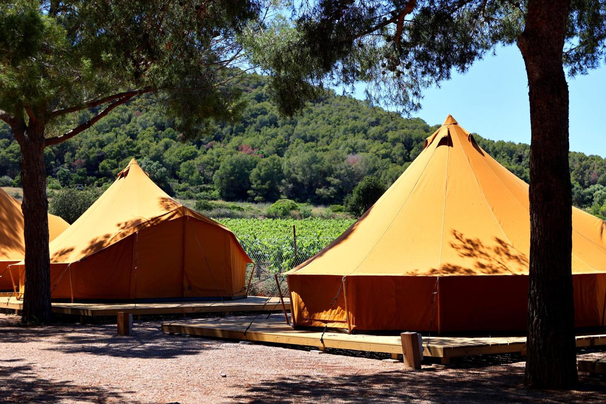 Campo de lujo Holacamp Fun *