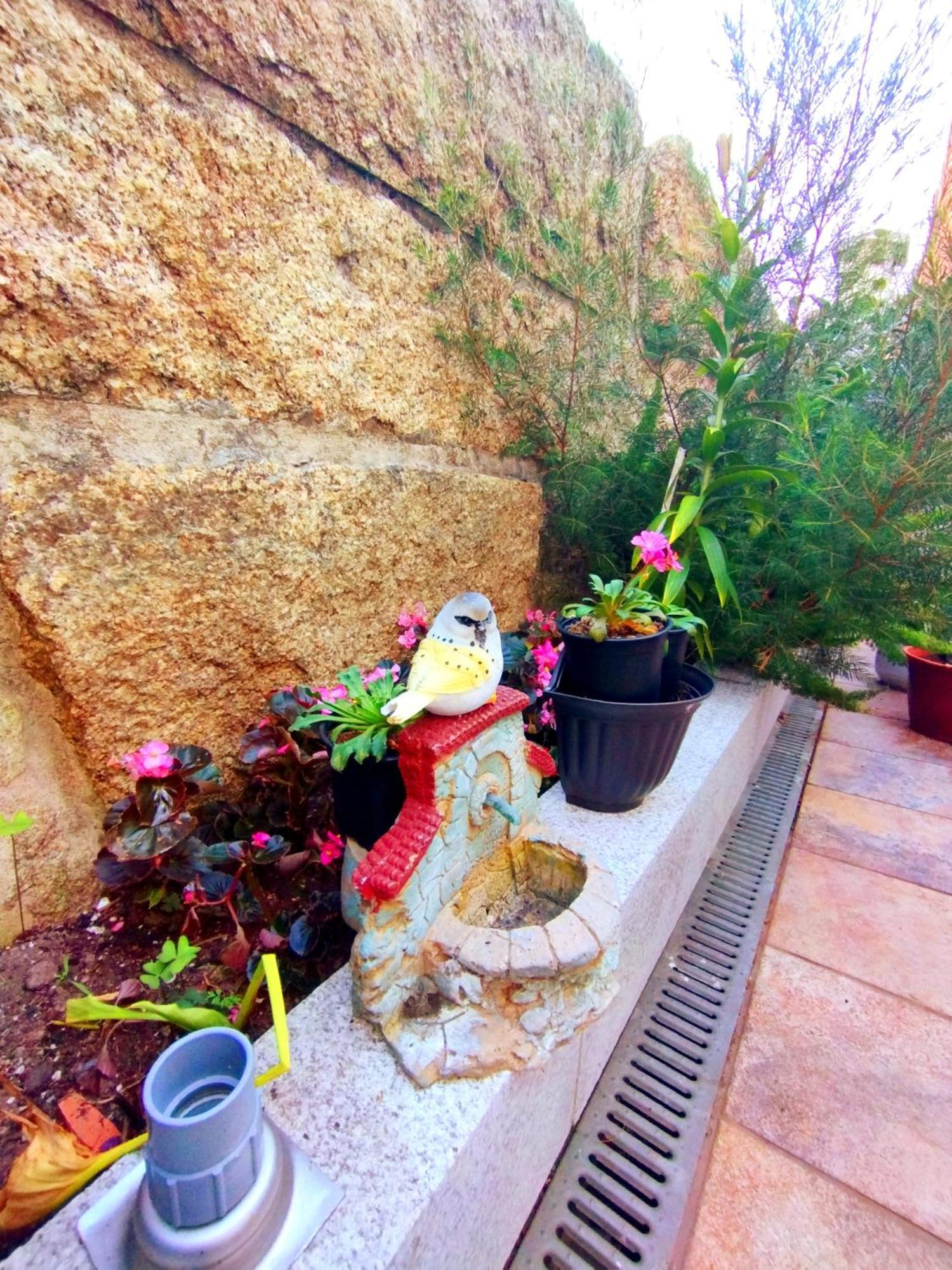 Casapuri Apartamento *