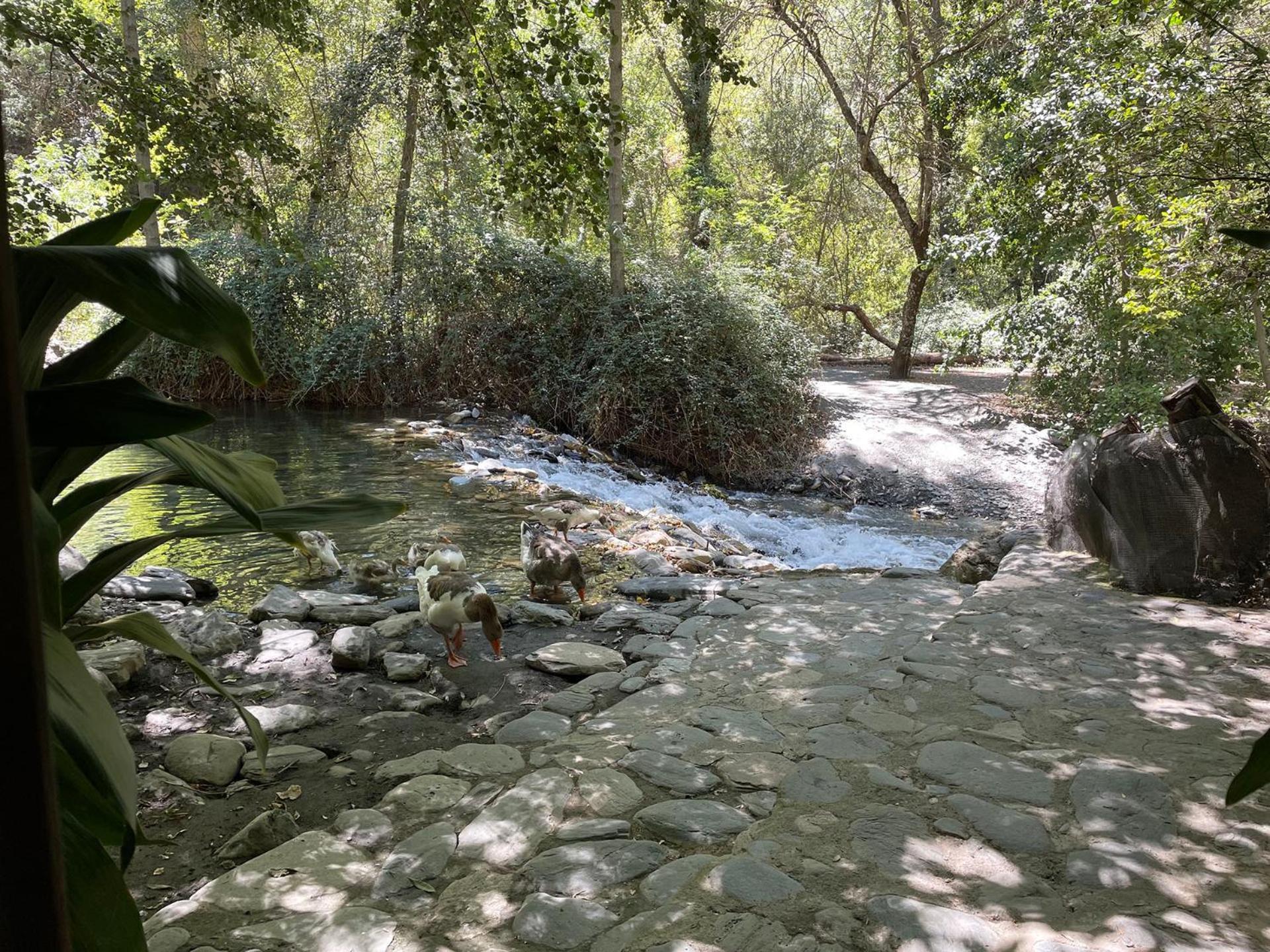 Сasa de vacaciones Ragon Residencial, 13 Güéjar Sierra