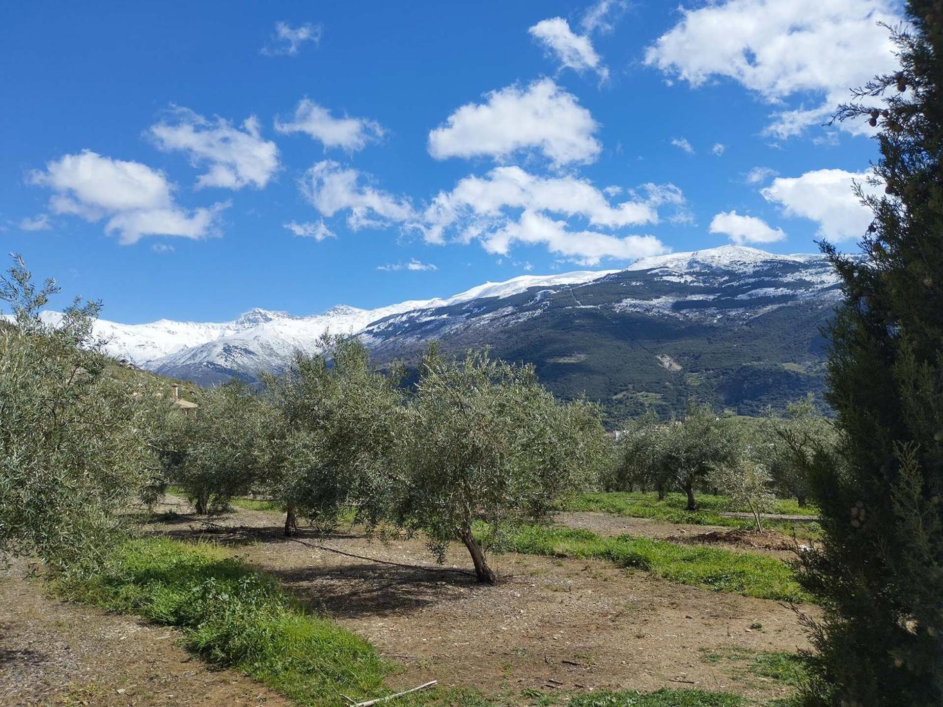 Ragon Residencial, 13 Сasa de vacaciones *