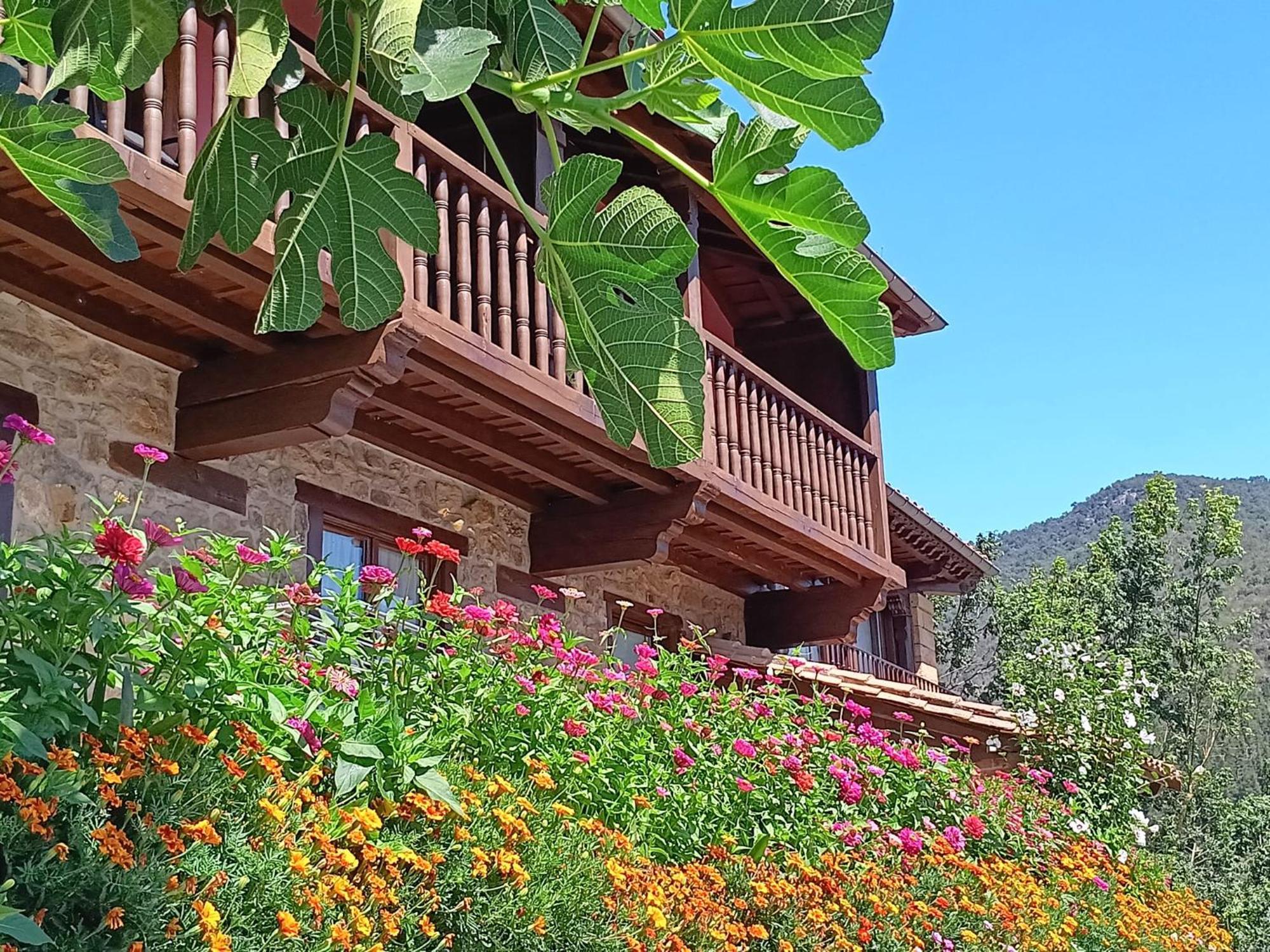 Calm & Nature - Adults Only Hotel