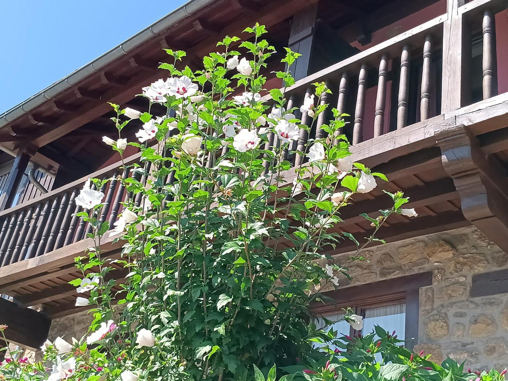 Hotel Calm & Nature - Adults Only