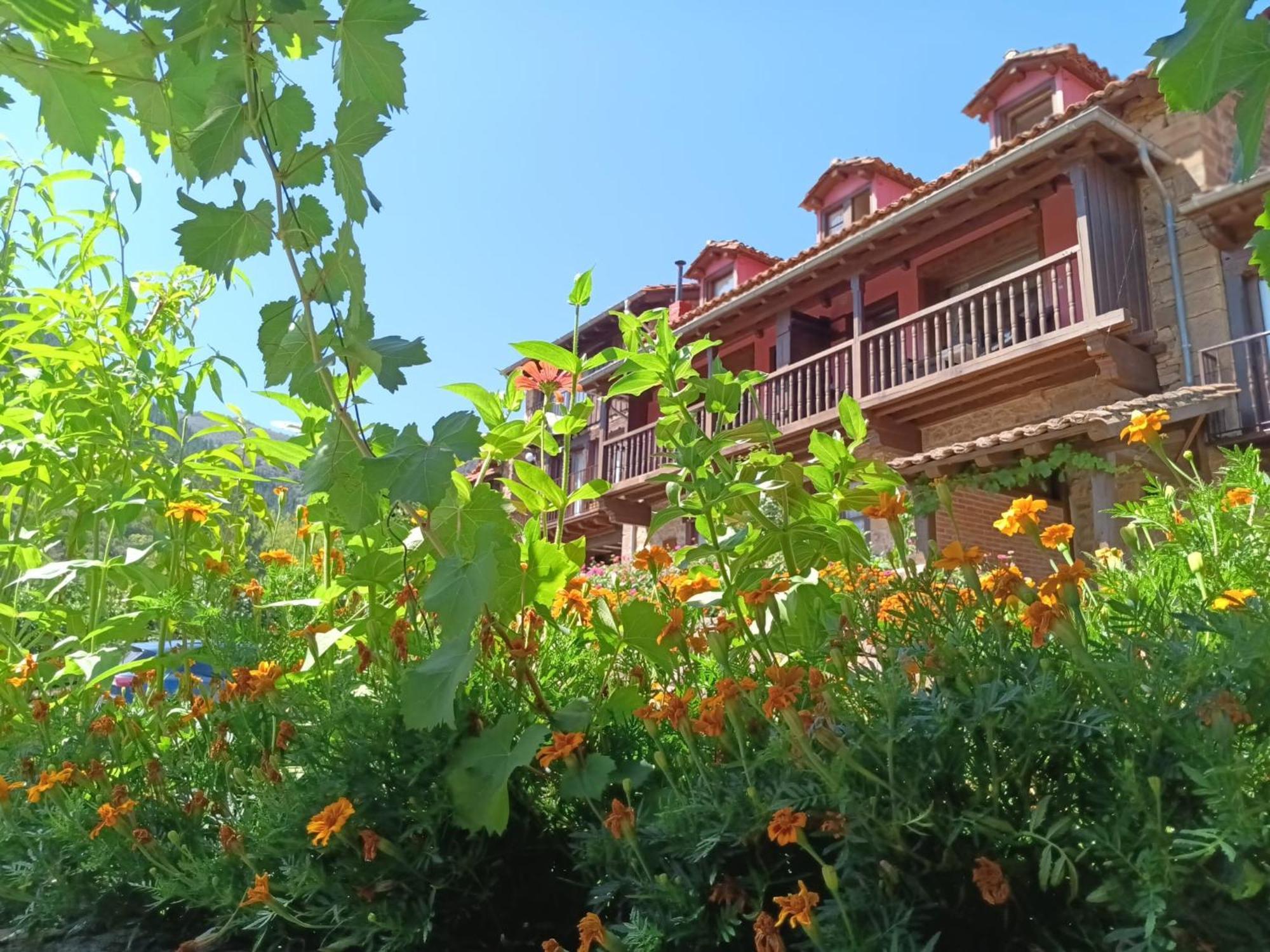 Hotel Calm & Nature - Adults Only Cabezón de Liébana