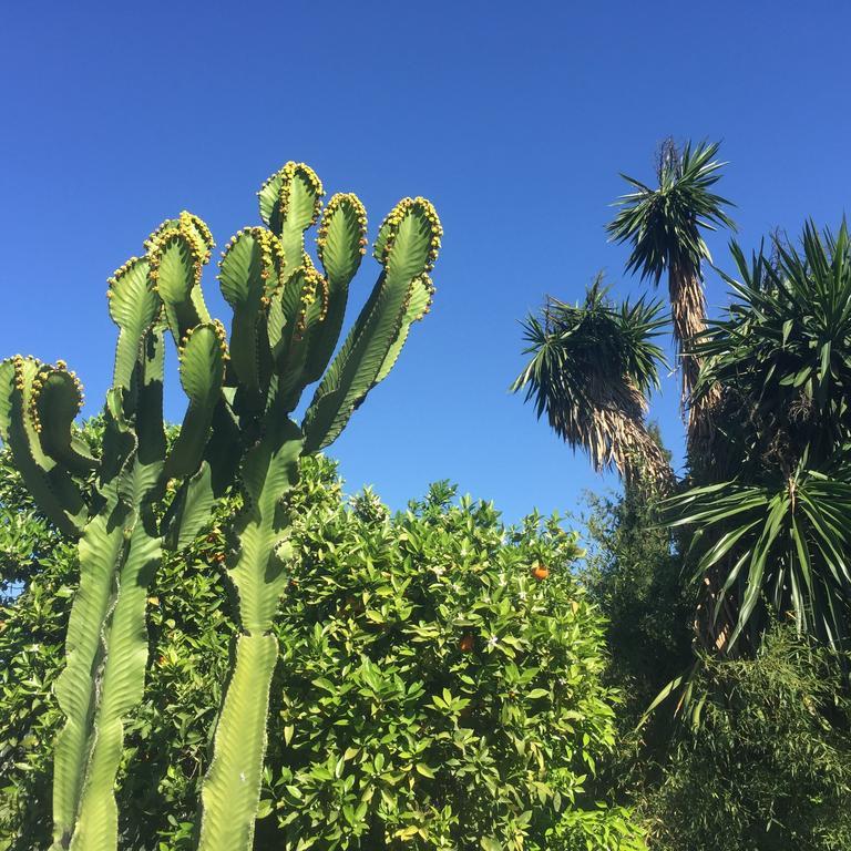 Cortijo Andaluz Bed and breakfast