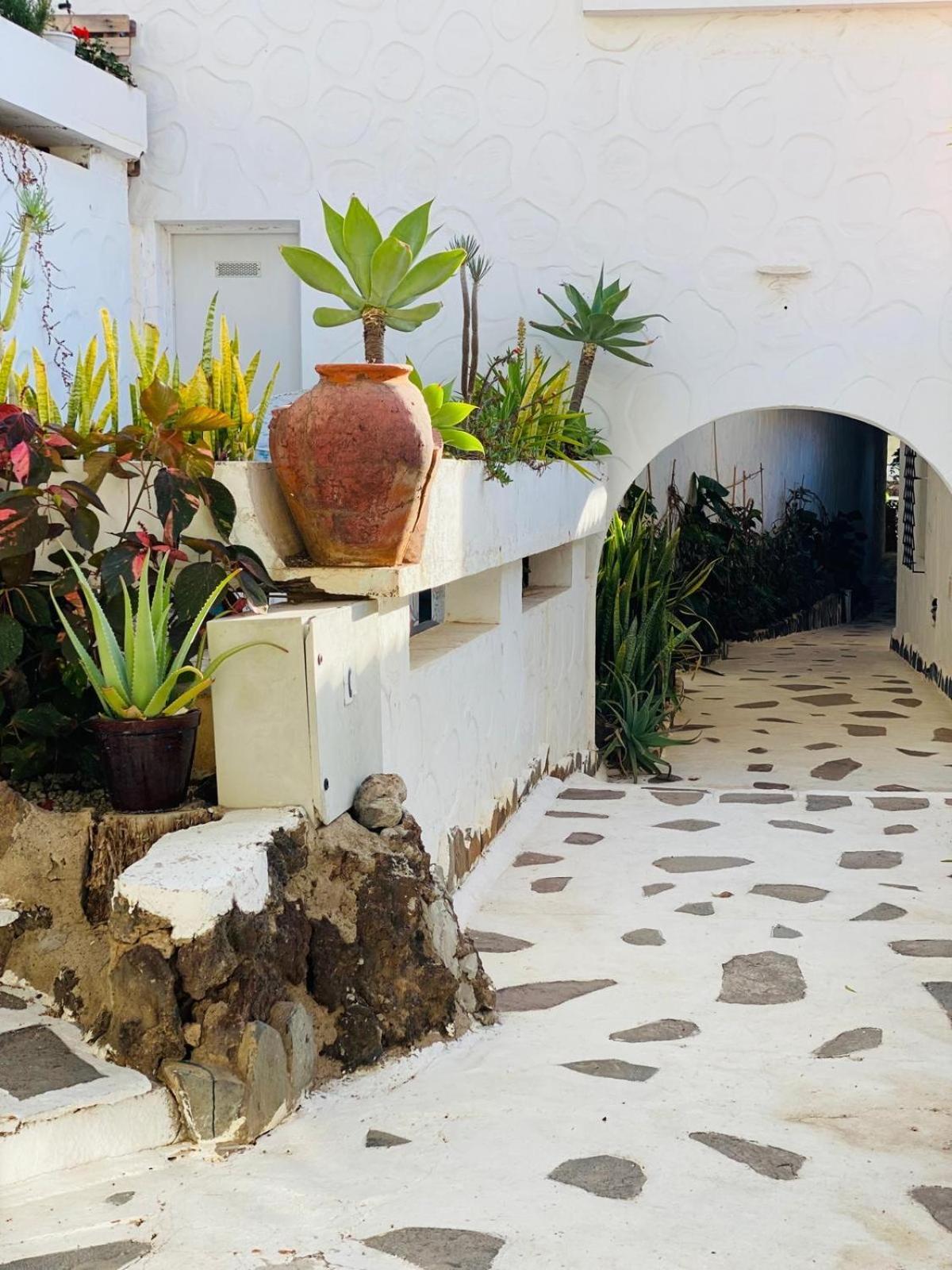 Calima House Chayofa