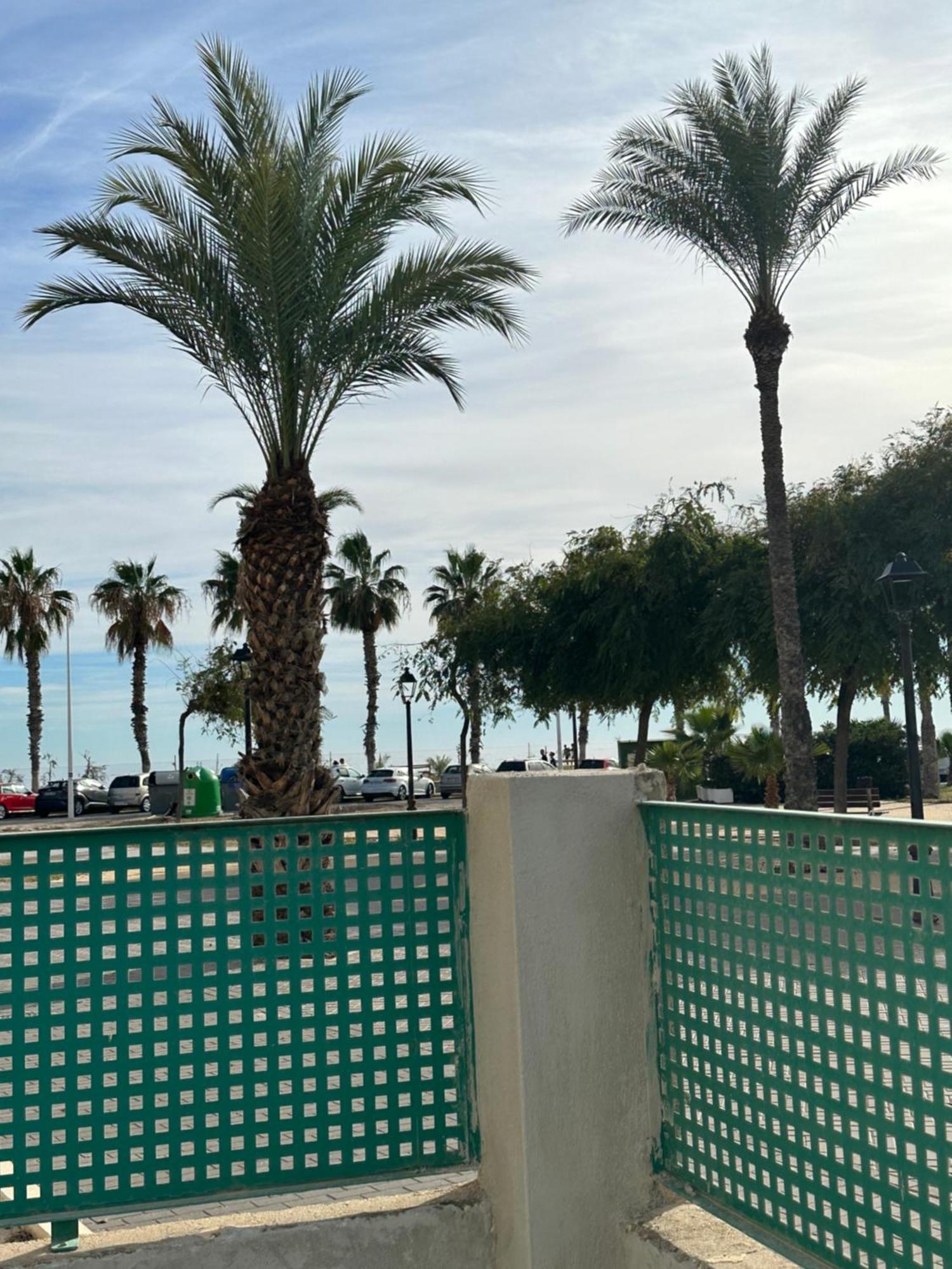 San Telmo Villajoyosa (La Vila Joiosa)