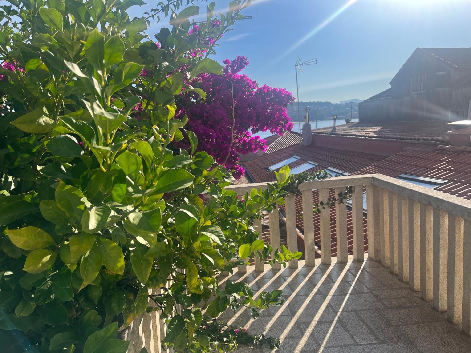 El Limonero Holiday home