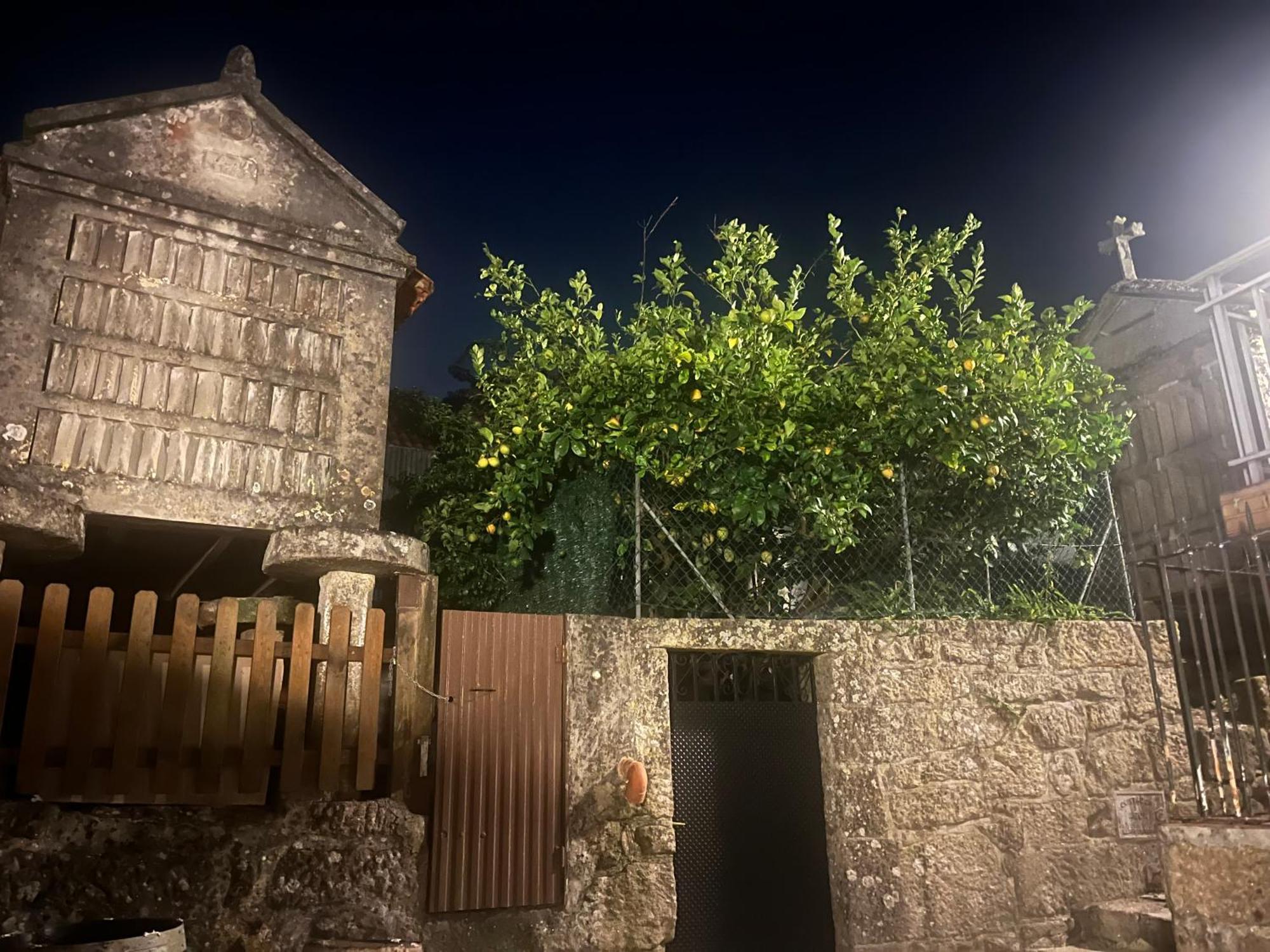 El Limonero Holiday home