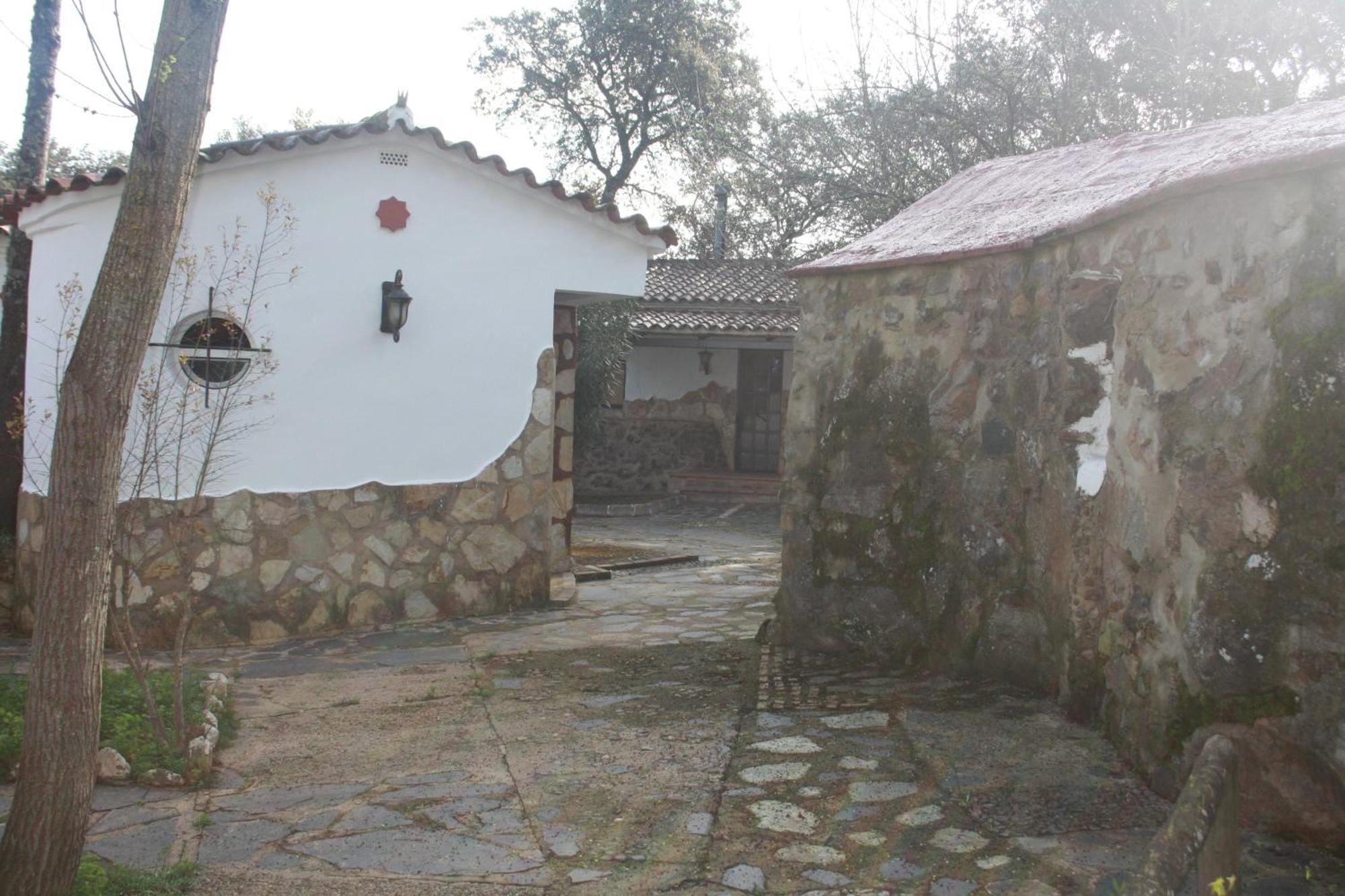 De Buffalos Cumbres Mayores