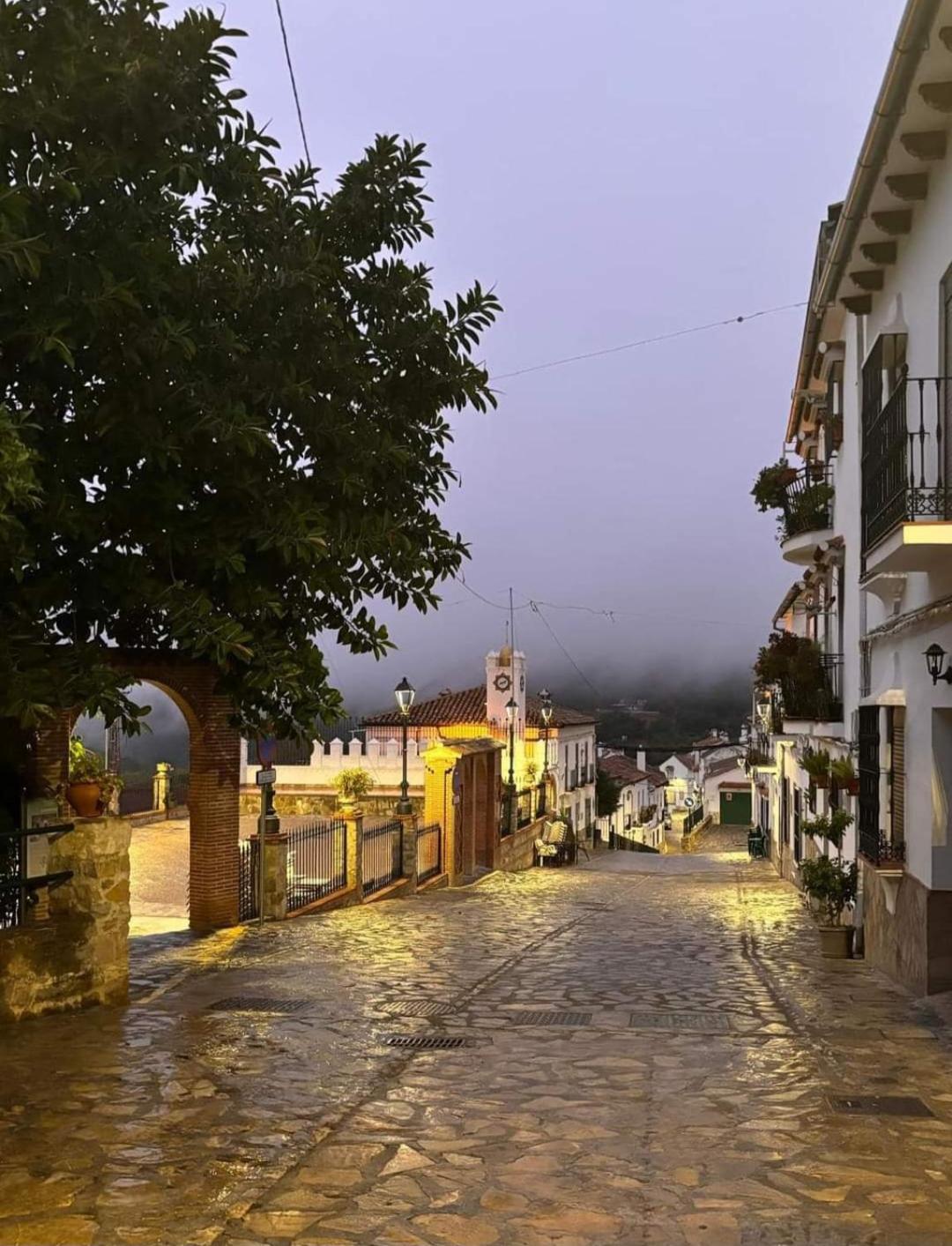 El Pinsapo Apartment