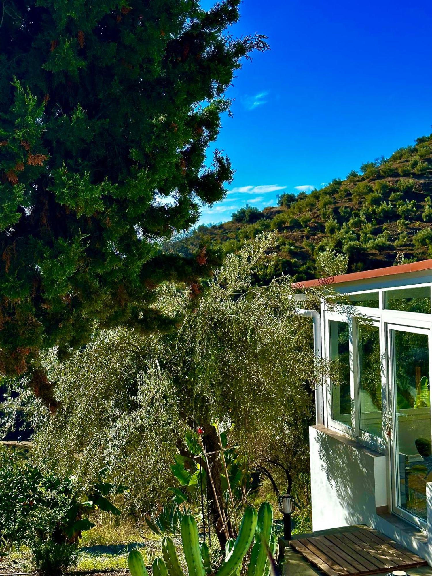 Filipinas, Lemoni Torrox