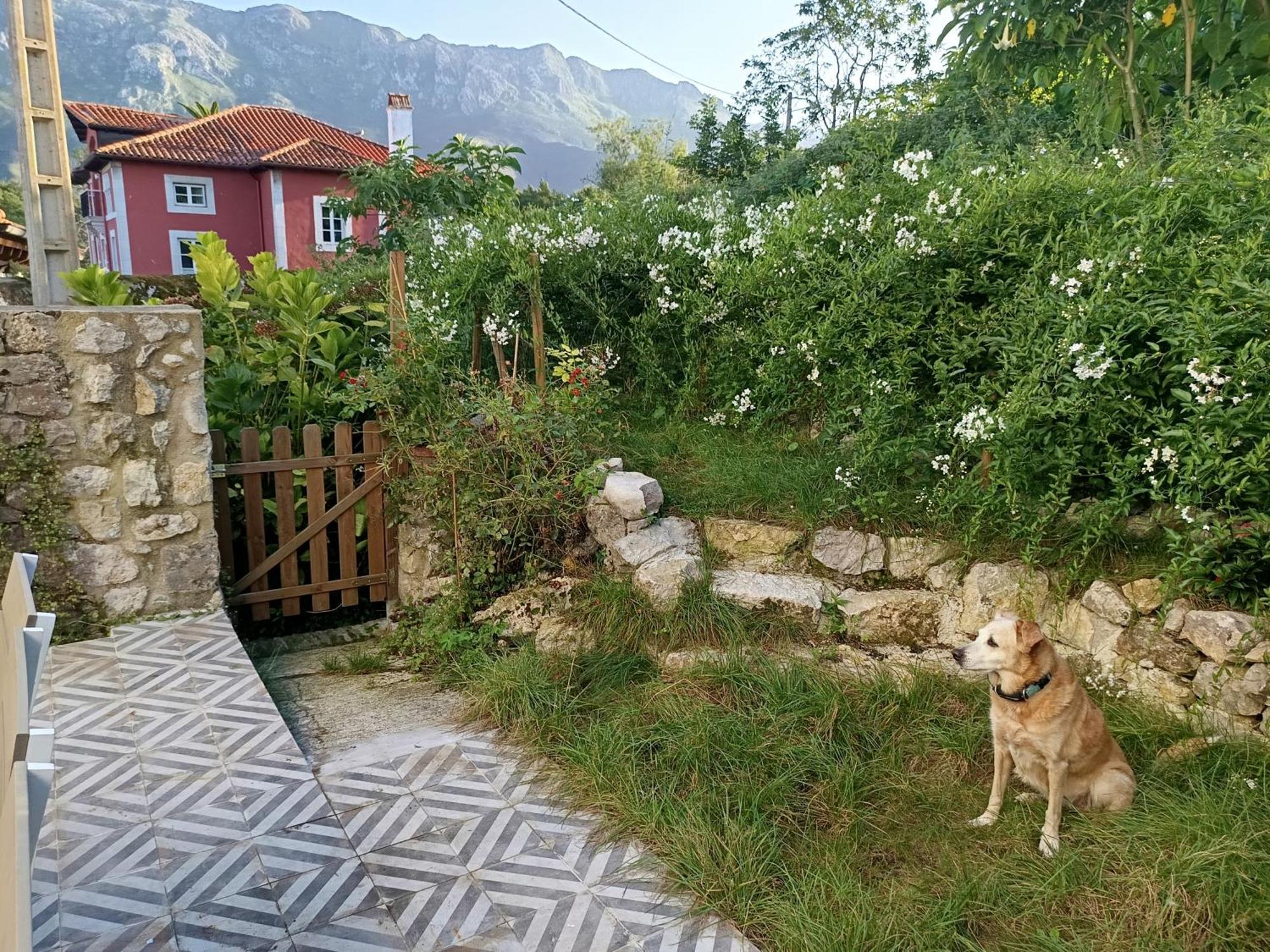 La Casita Holiday home Parres de Llanes