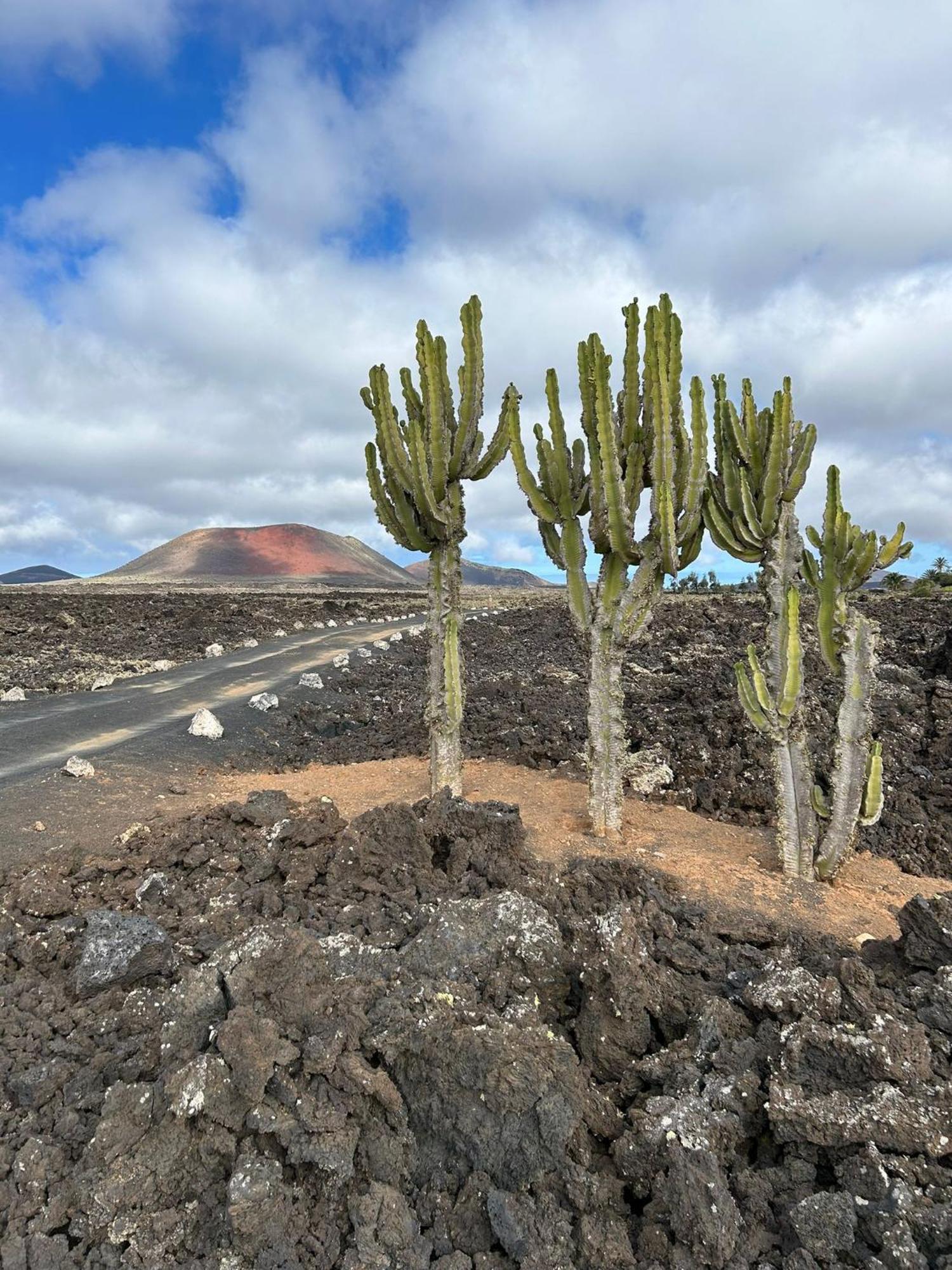Nopasanada Tu Casa En Lanzarote Pensión