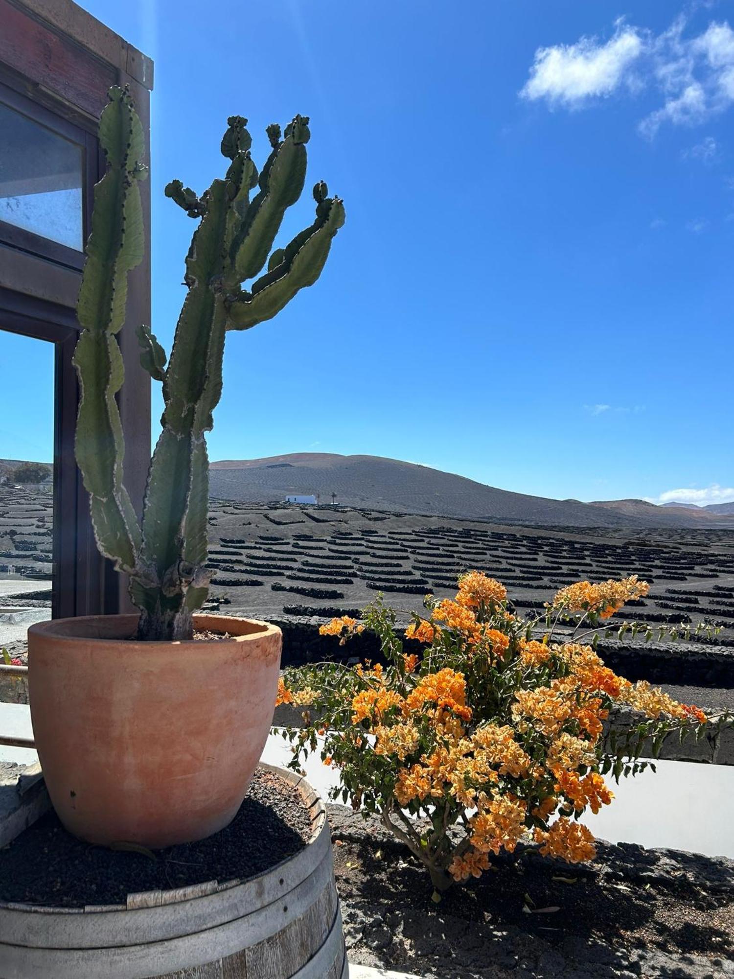 Nopasanada Tu Casa En Lanzarote Pensión El Cuchillo