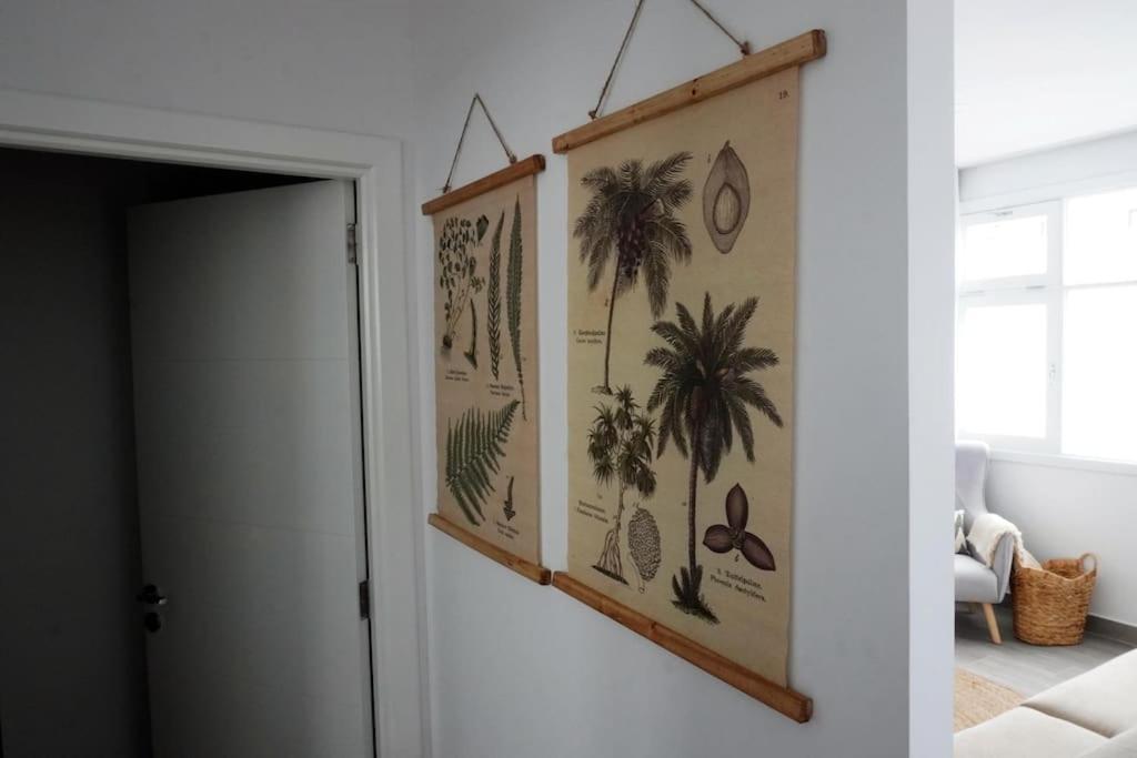 Apartment Salva Reina *