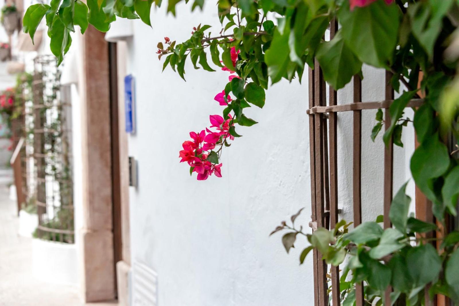 Maison Salva - Boutique Hotel *