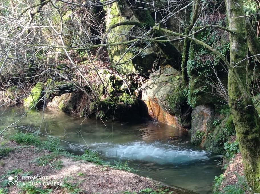 O Billanco Picona