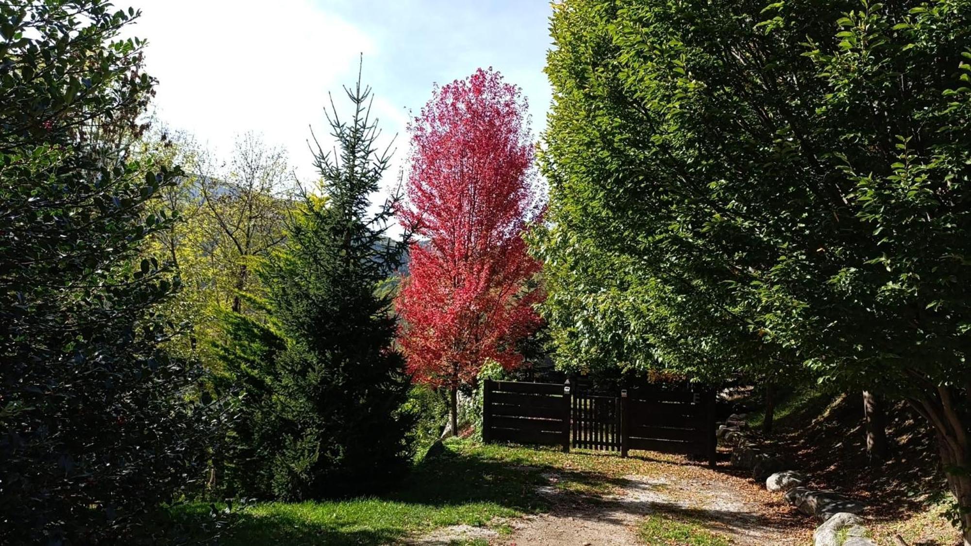 Holiday home Les Pedres