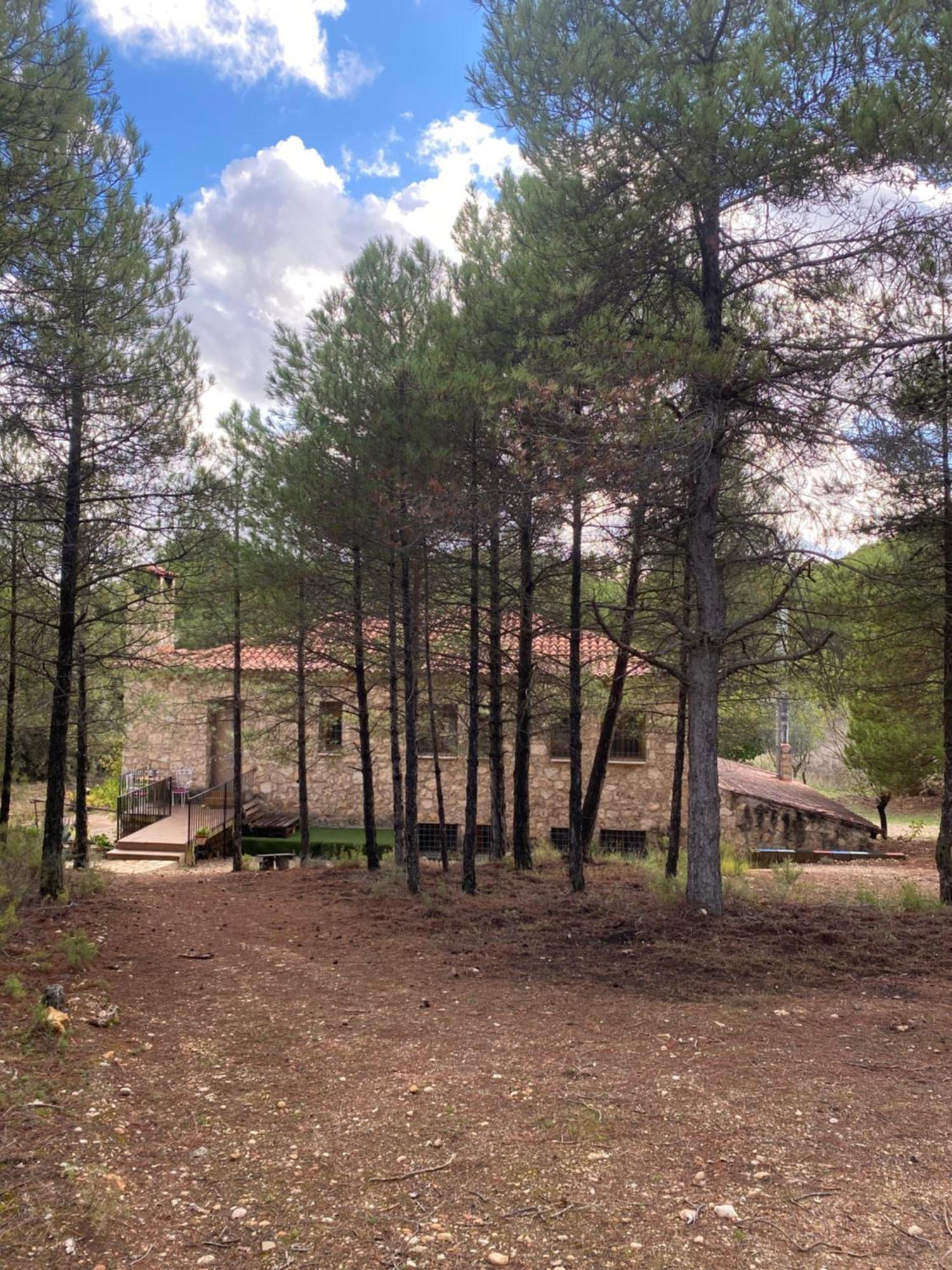 Sanz Holiday home *