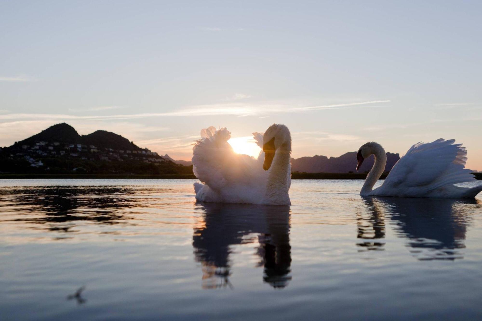 Marriott La Sella Golf &