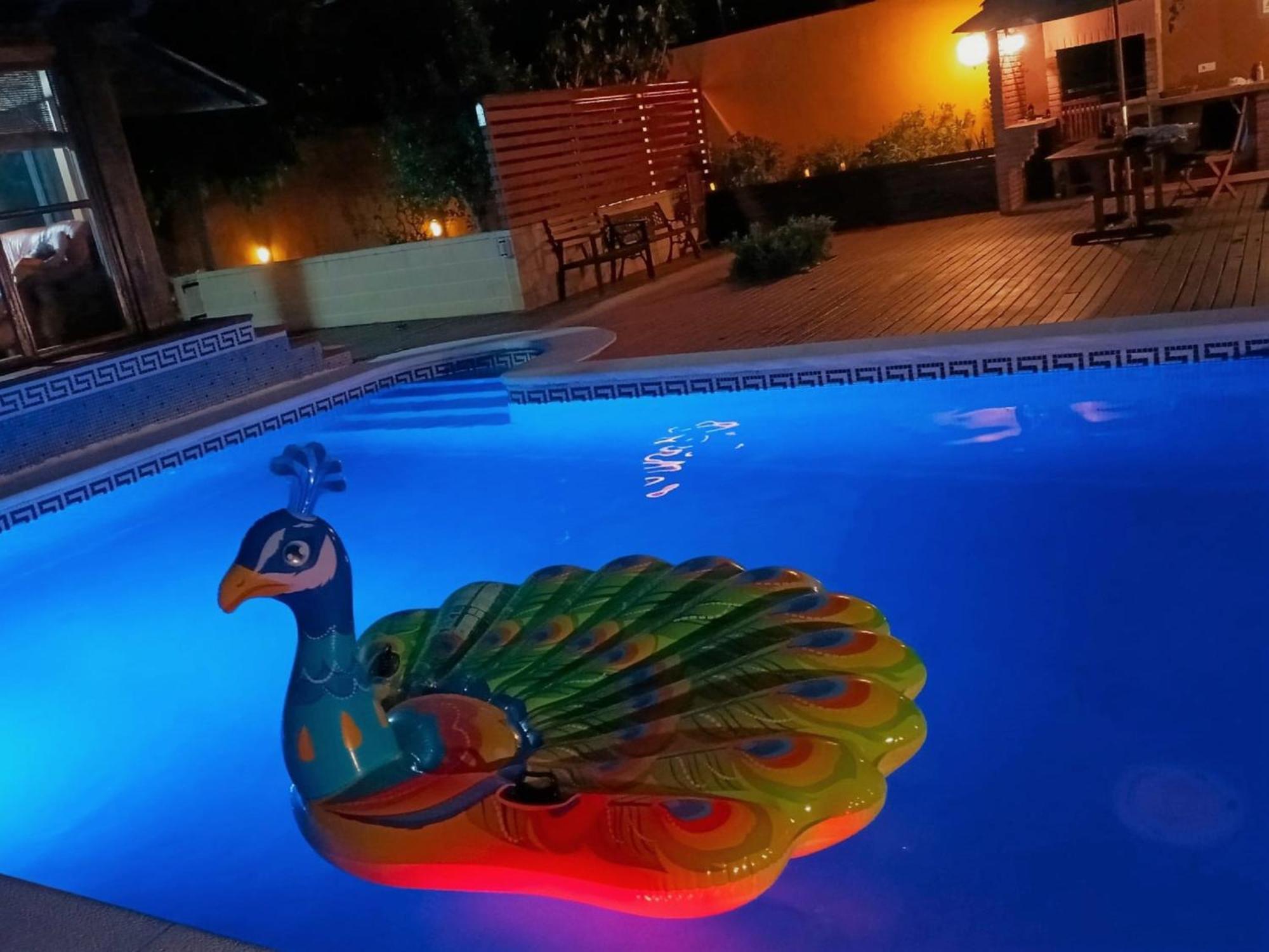 Du Speciale Pour Famille Avec Enfant Villa