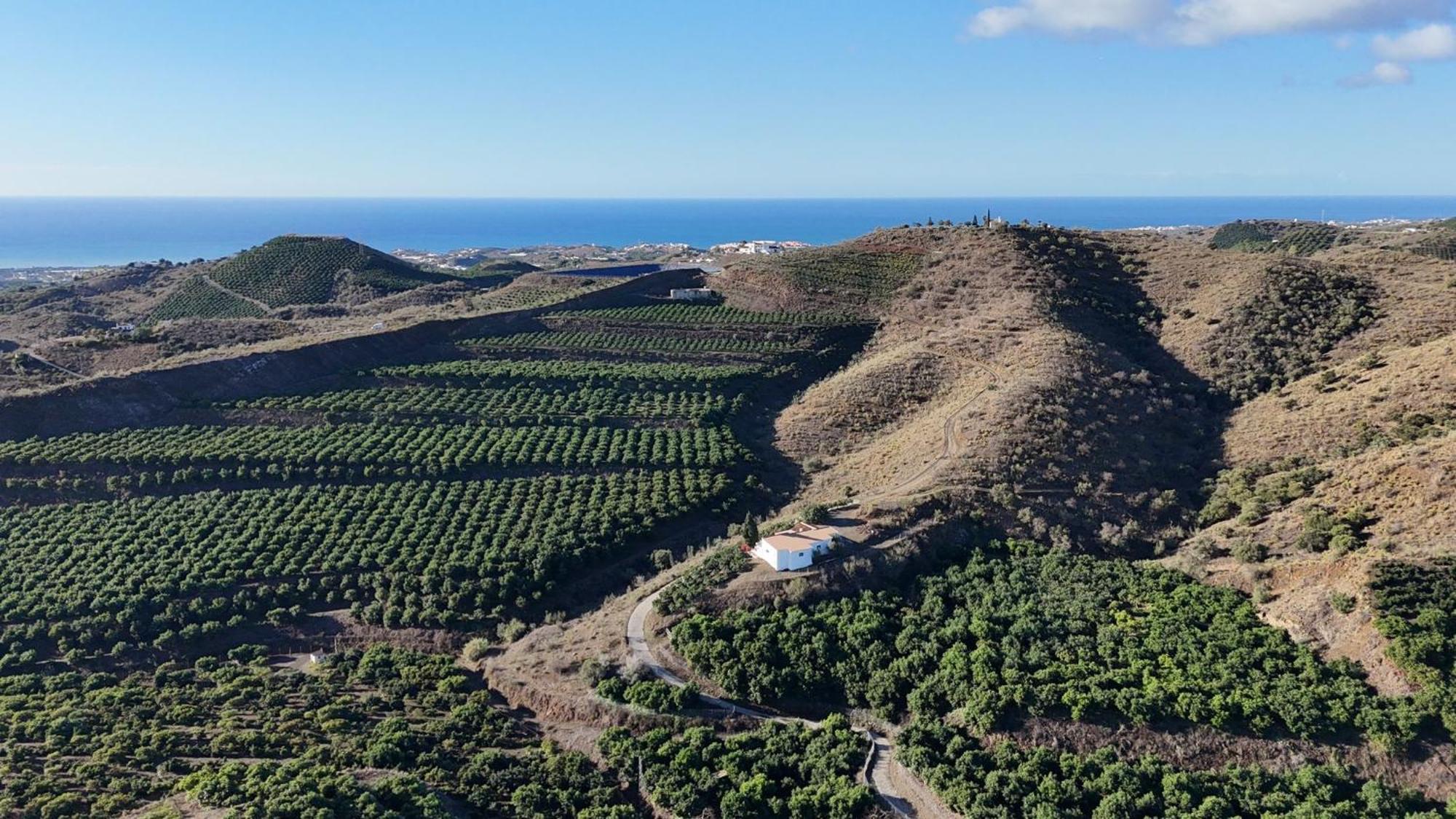 Casa La Dehesa Holiday home