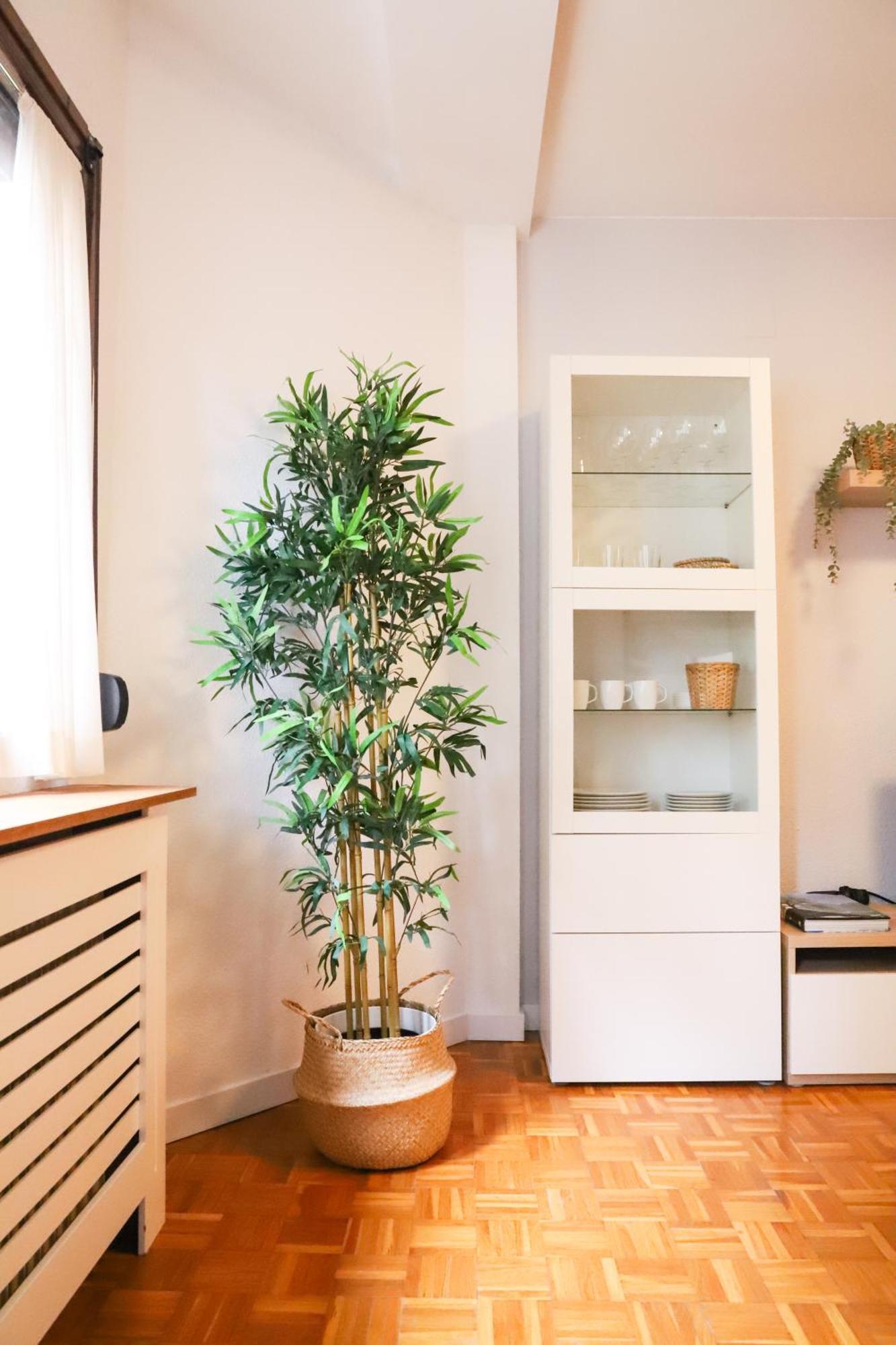 Casa Aspe Apartment *