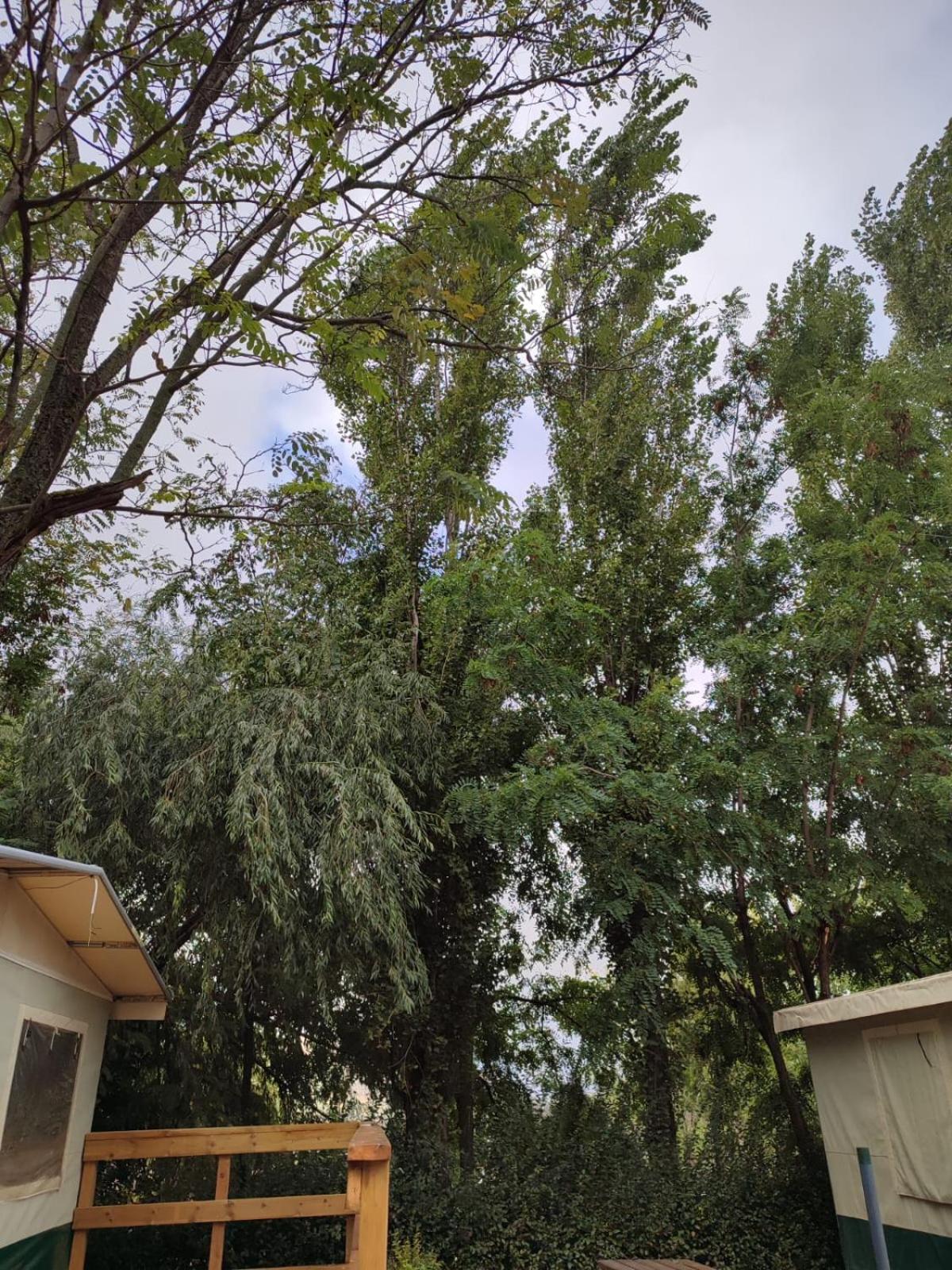 Camping Valdeluna Valdepenas de Jaen