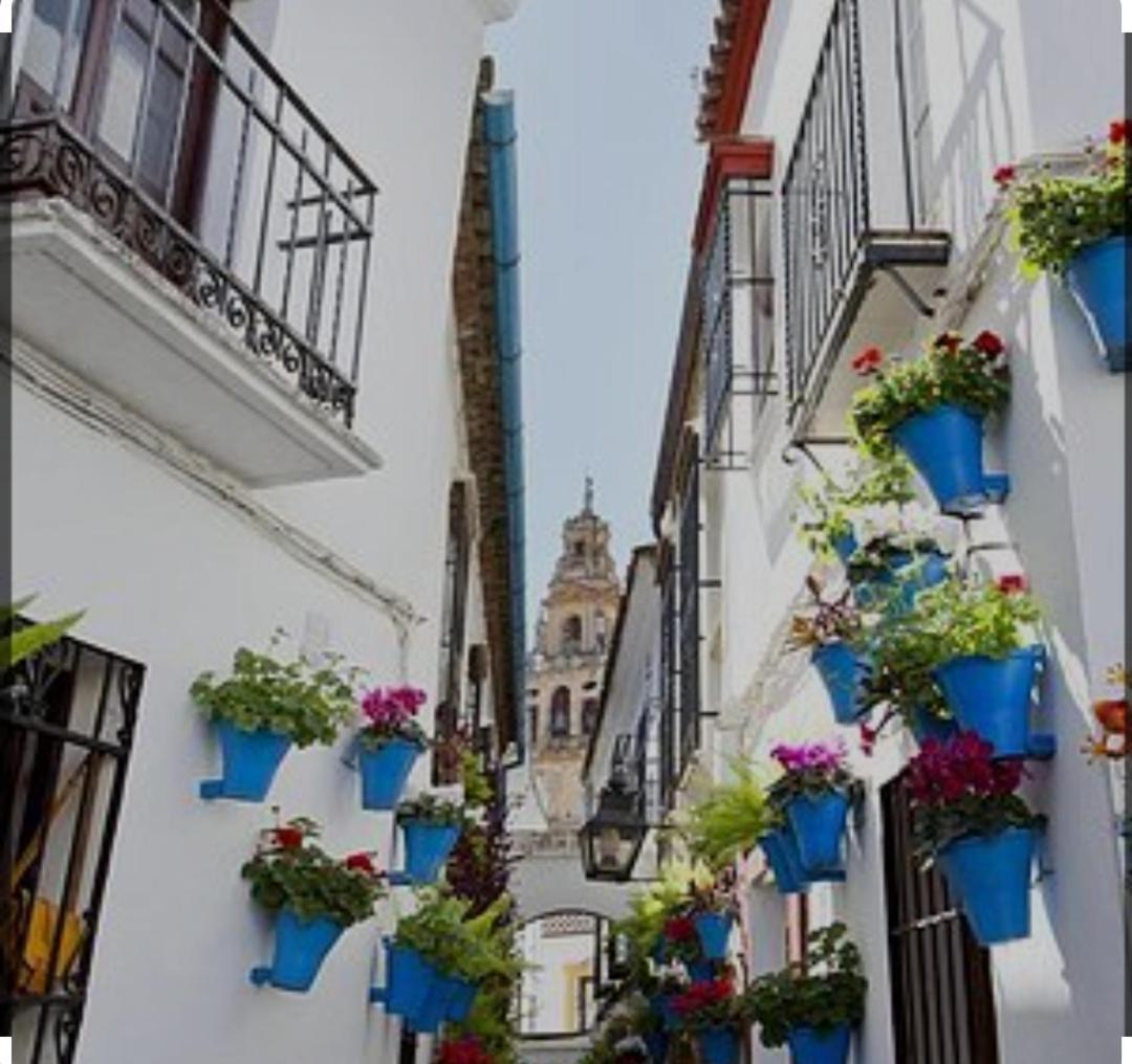 Apartment El Patio De La Cris Puente Genil