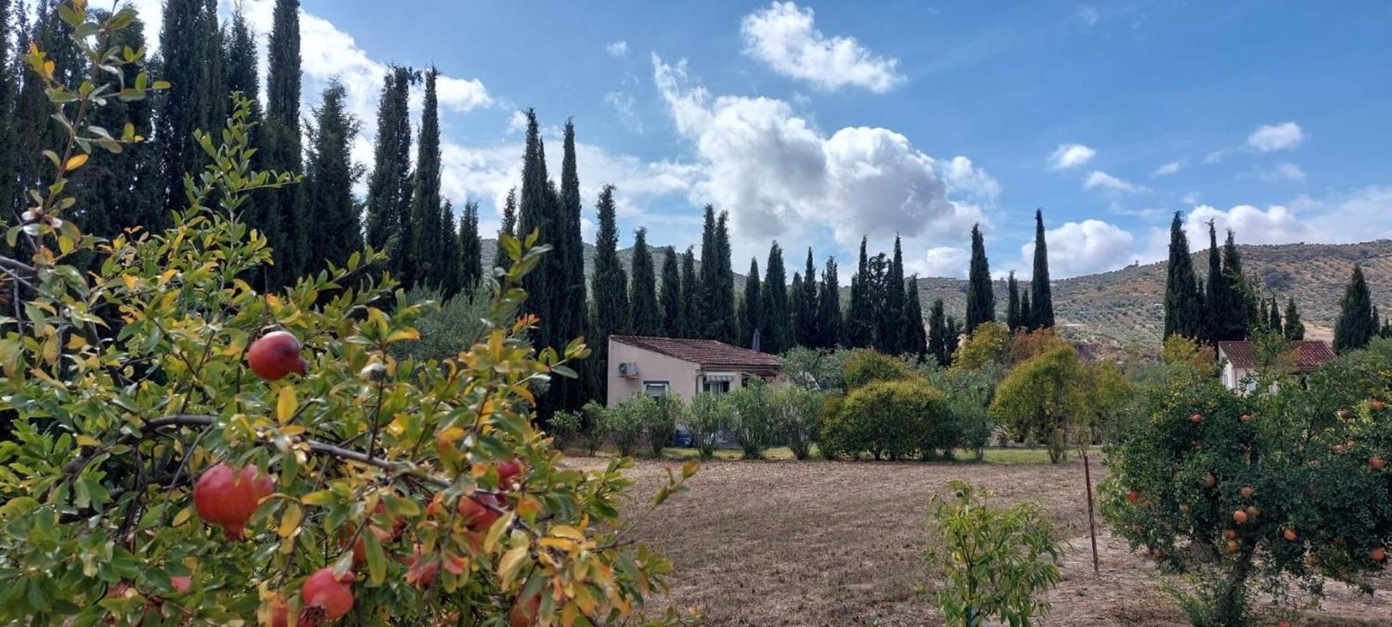 Casita Cacahuete