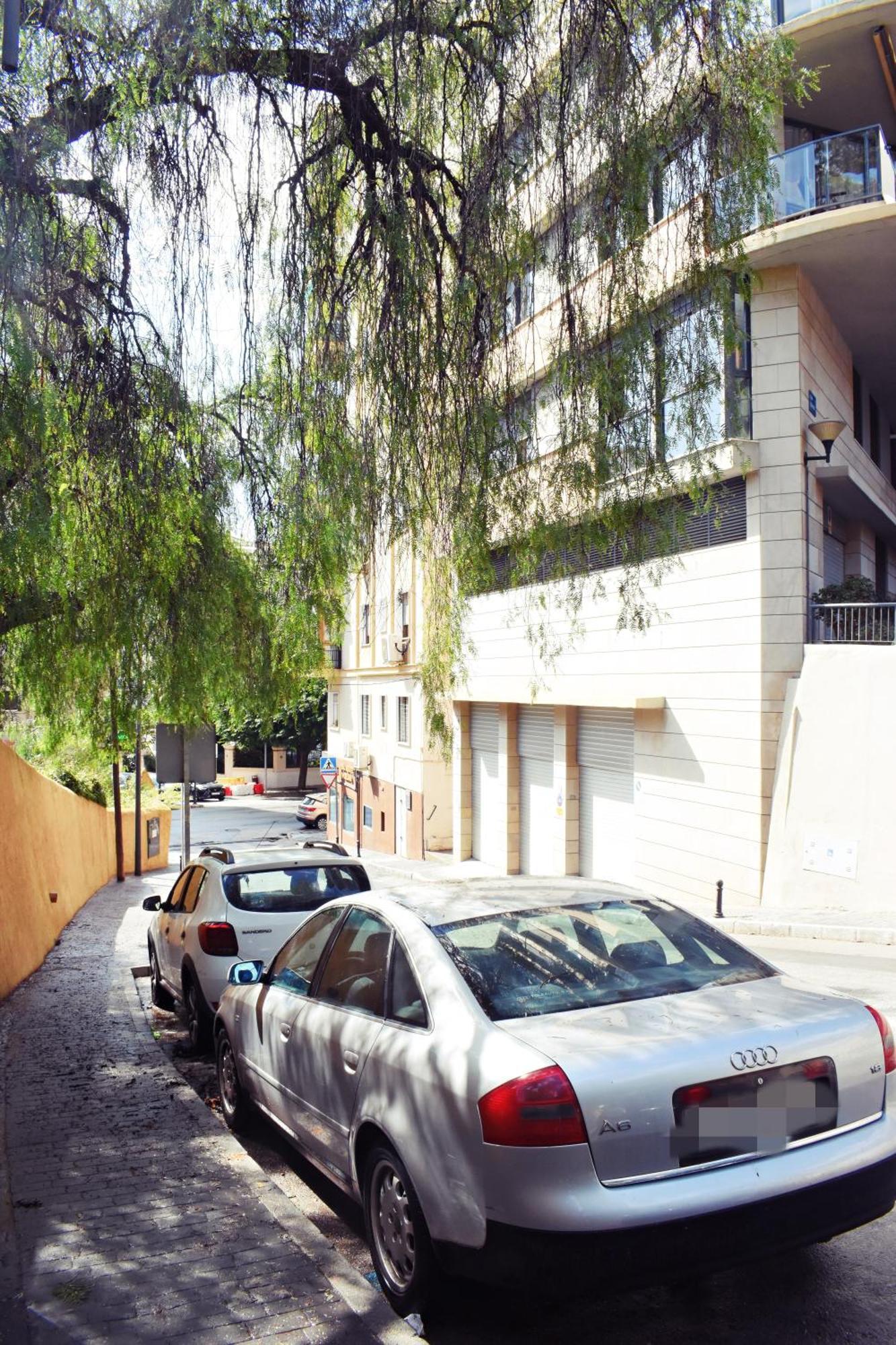 Apartamento Malagueta's Cozy With Parking And Swimming Pool