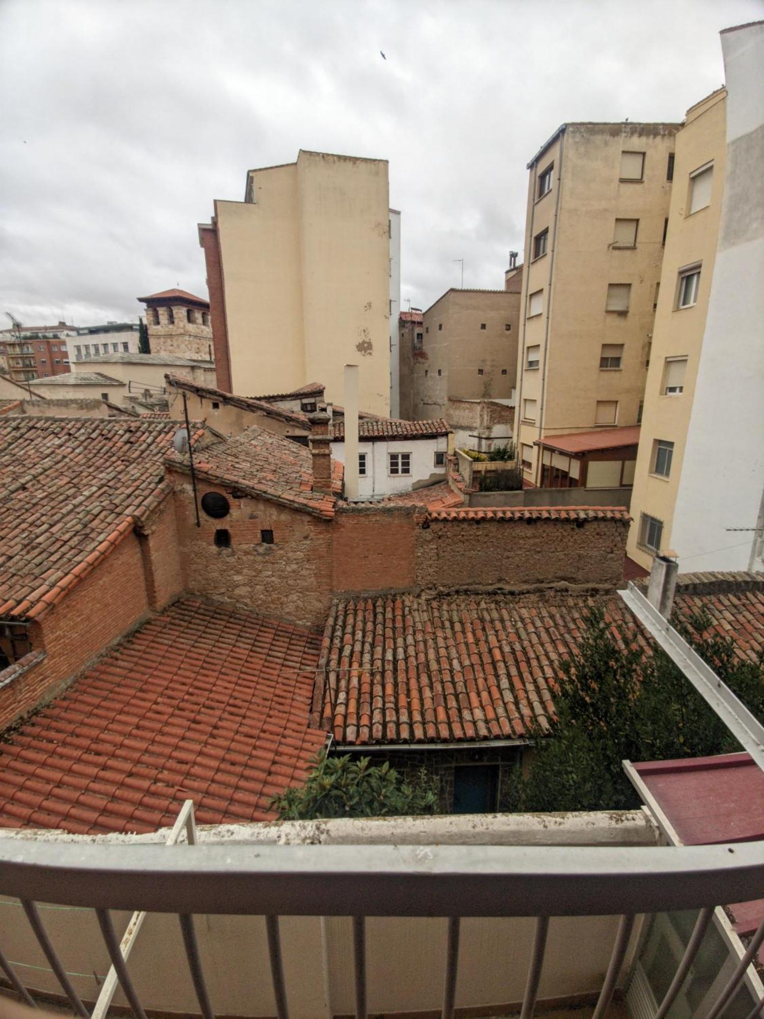 Sol Zamora