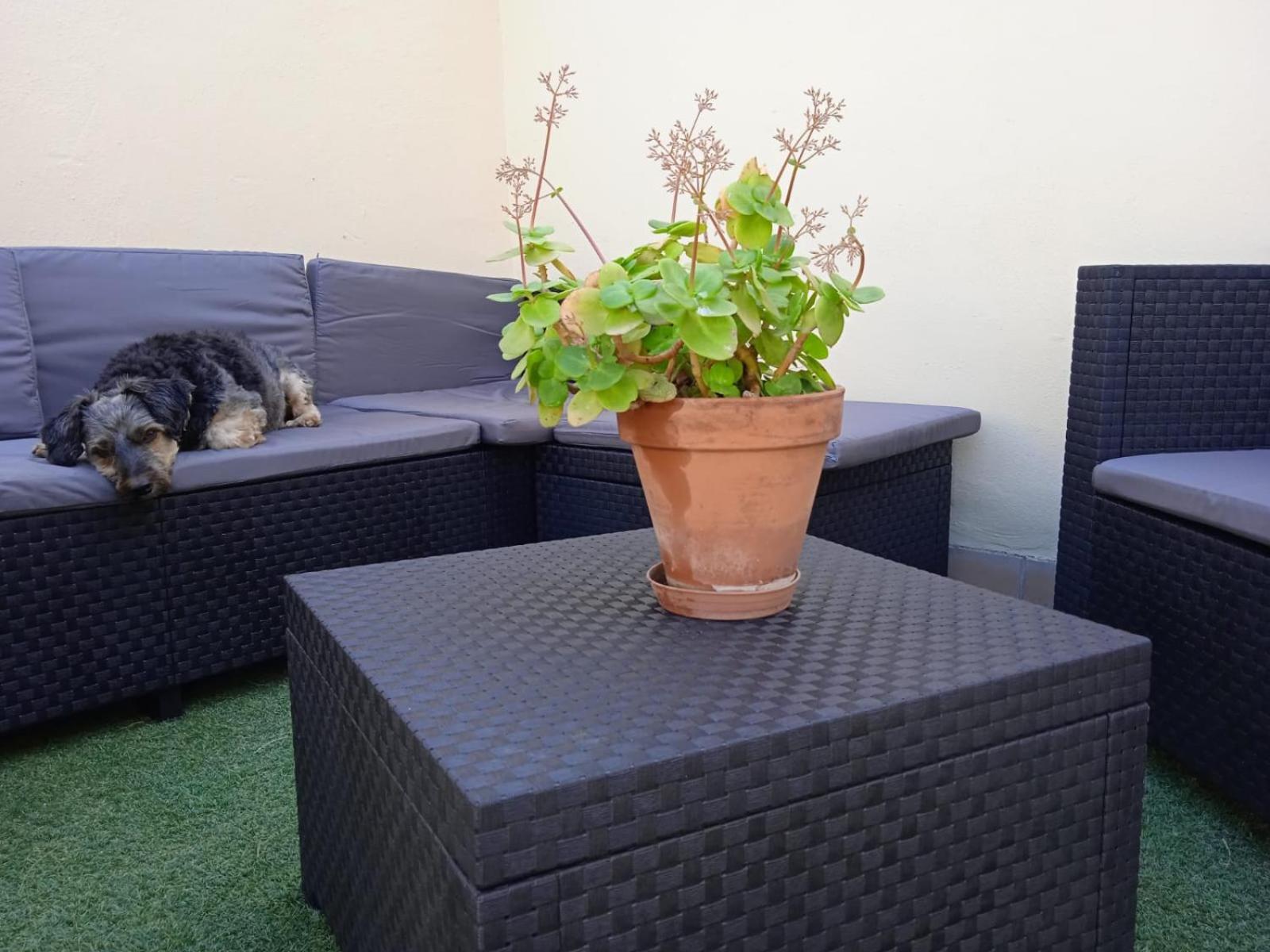 Apartamento Livingtarifa Nano