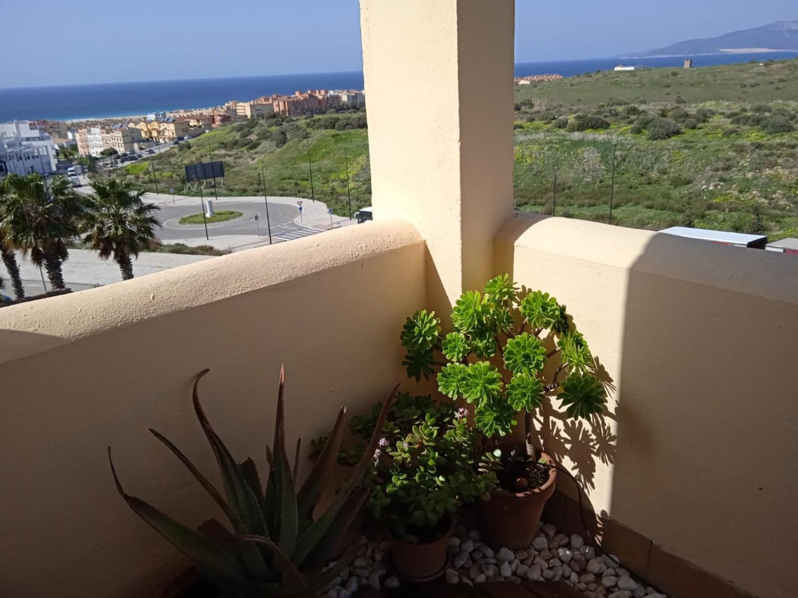 Livingtarifa Nano Apartamento *