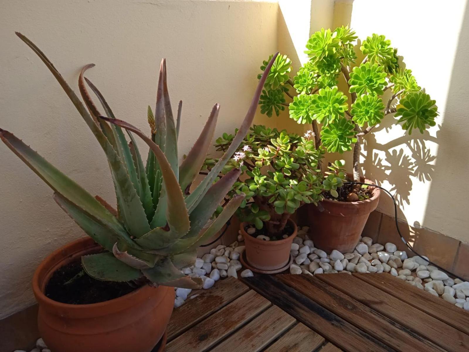 Apartamento Livingtarifa Nano *