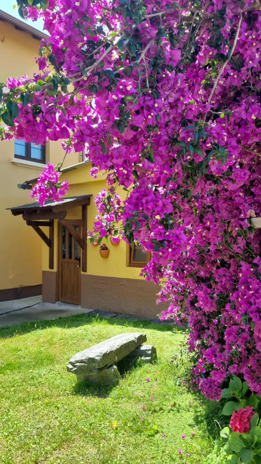 La Quintana De Figares Luarca
