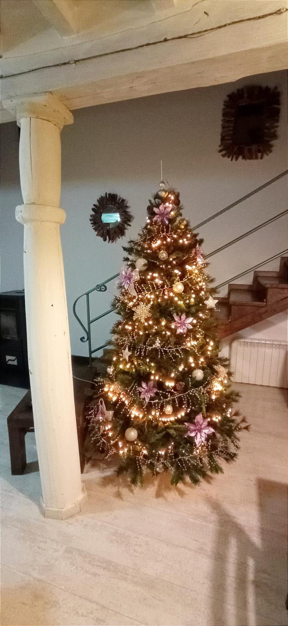 Apartamento Duplex Ca Tio Celso