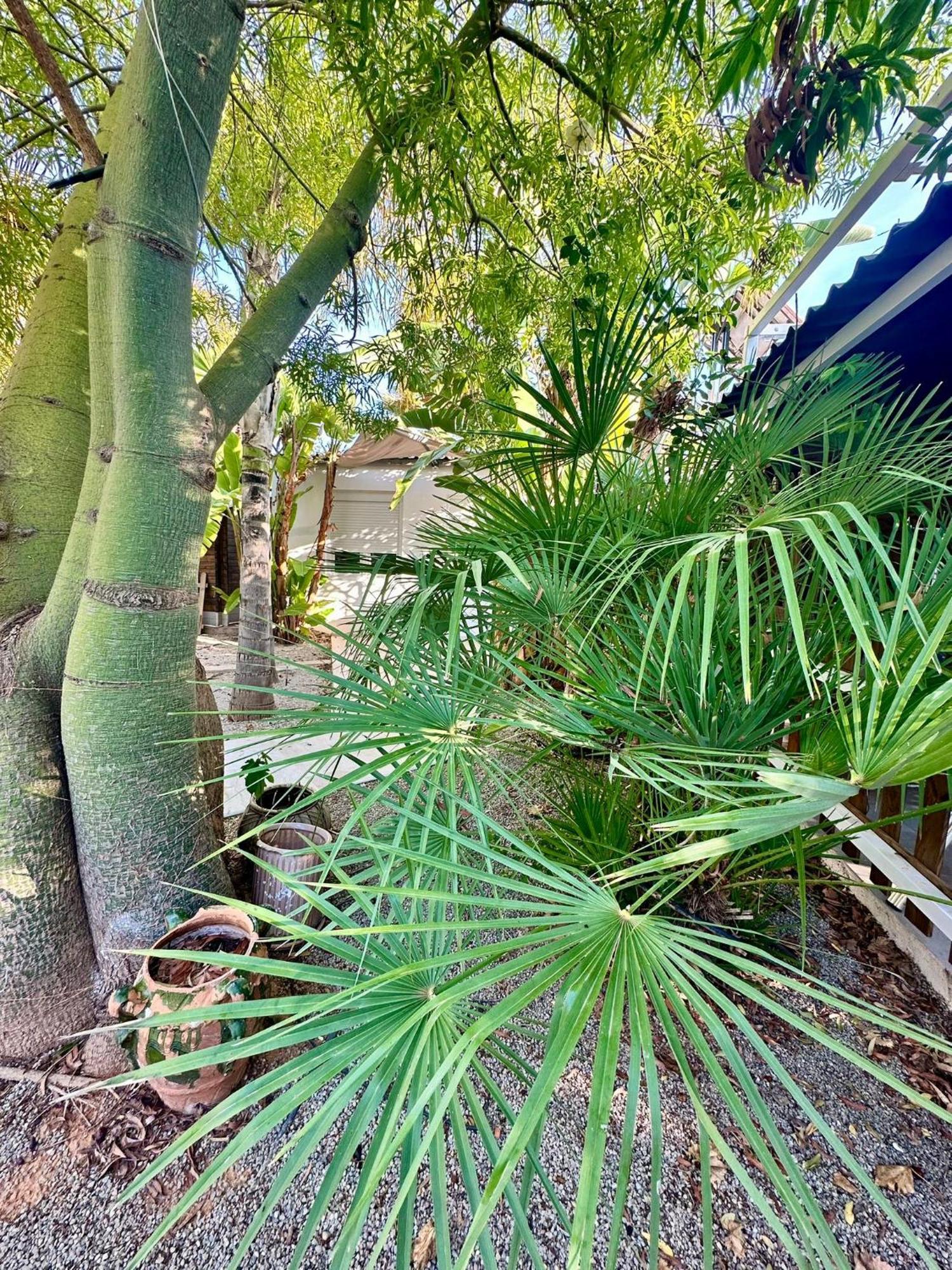 Palm Garden Valencia * Betera